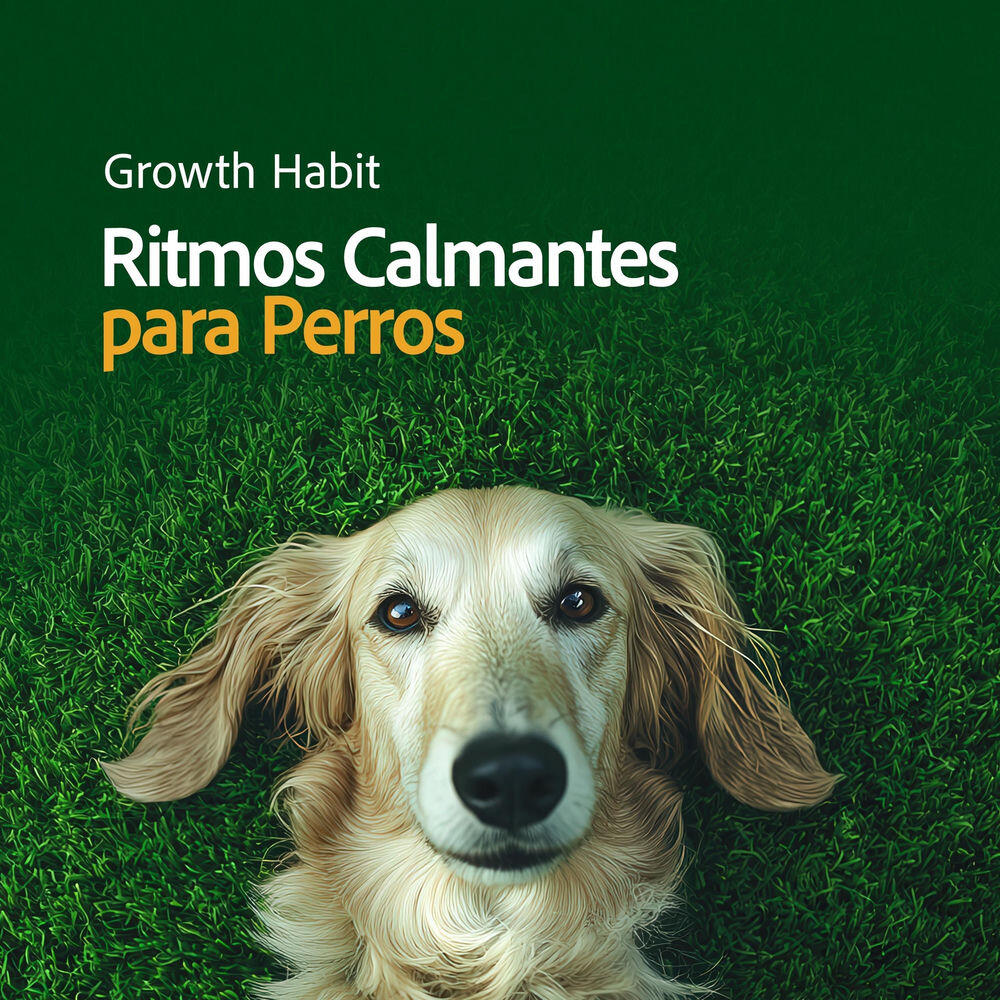 Релиз Ritmos Calmantes para Perros