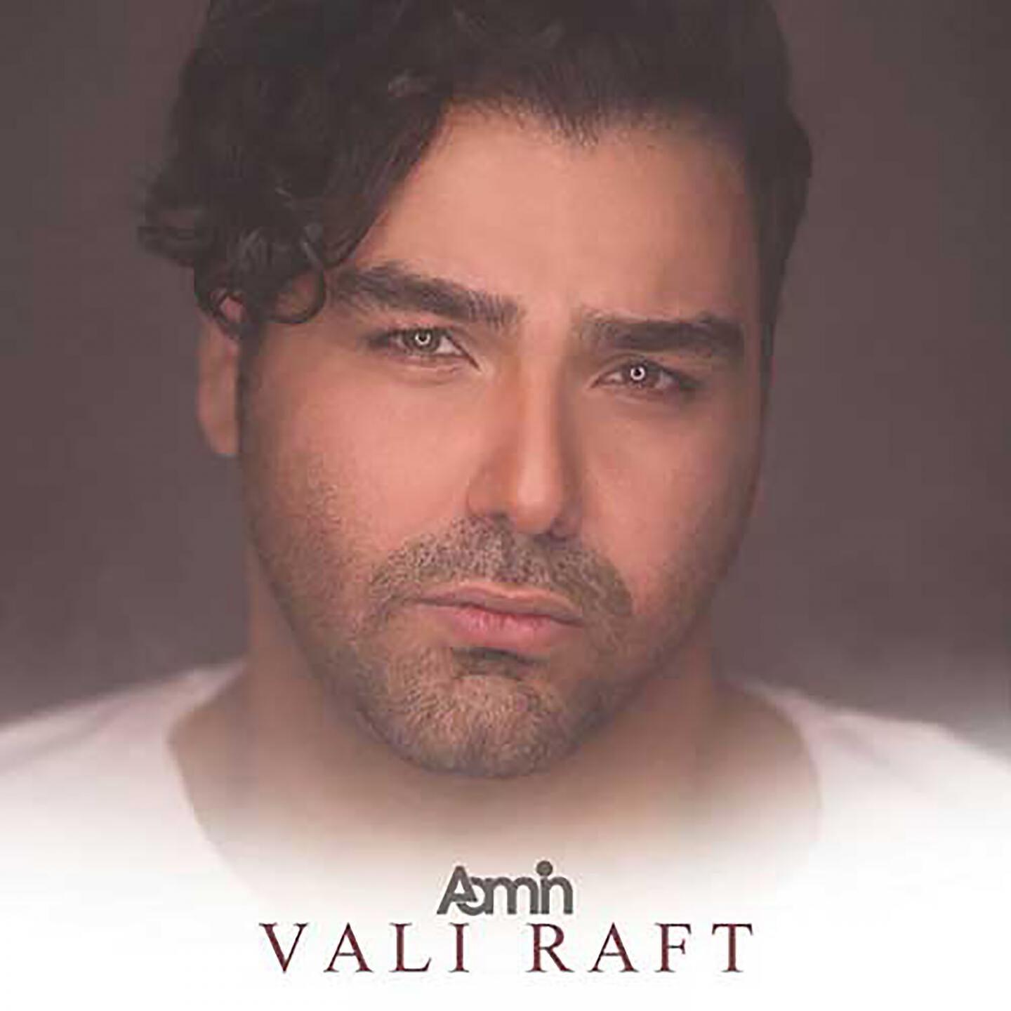 Релиз Vali Raft