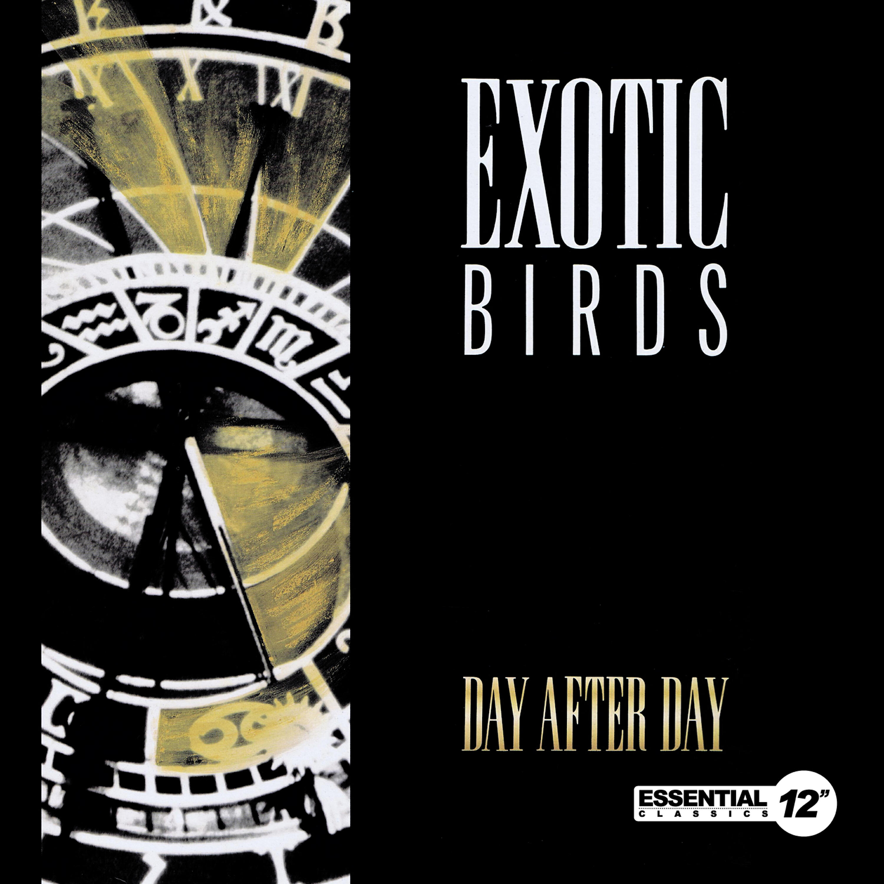 Релиз Day After Day
