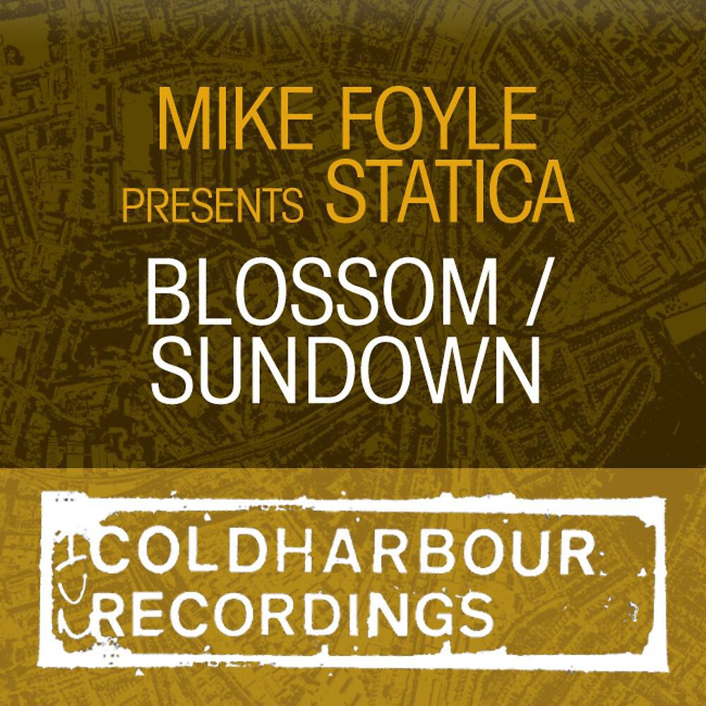 Mike Foyle & Statica