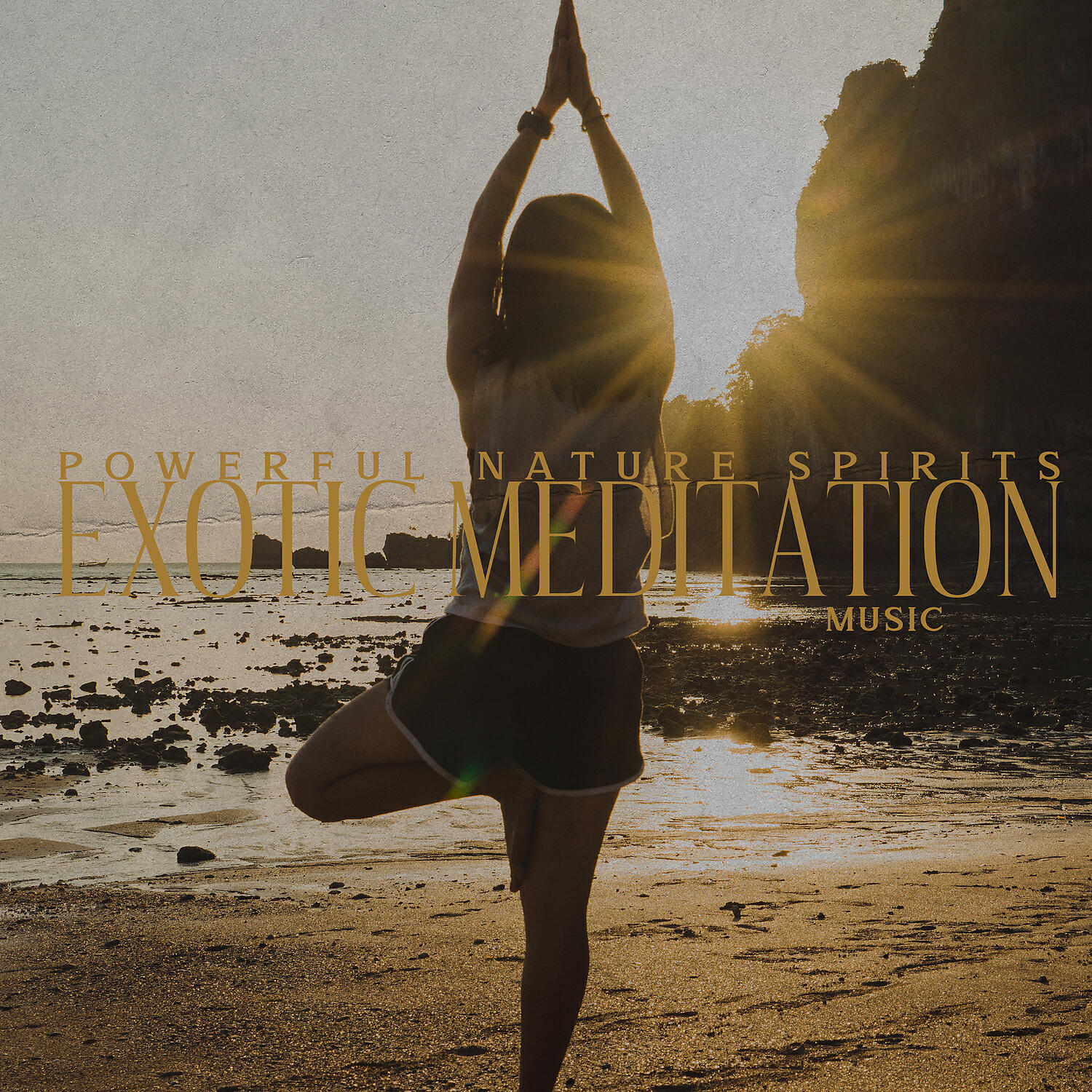 Релиз Powerful Nature Spirits: Exotic Meditation Music - Healing, Relaxing, Recharging Batteries