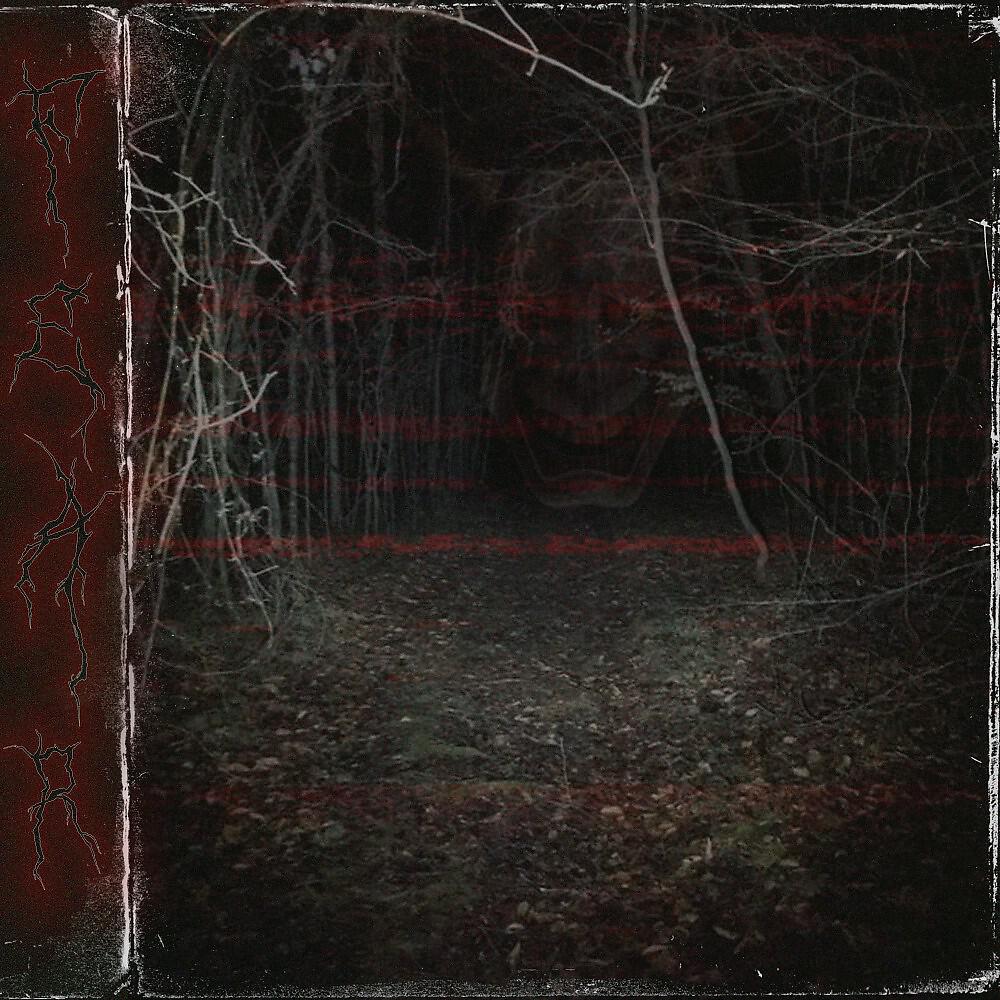 Релиз Fear (Remix Freddy)