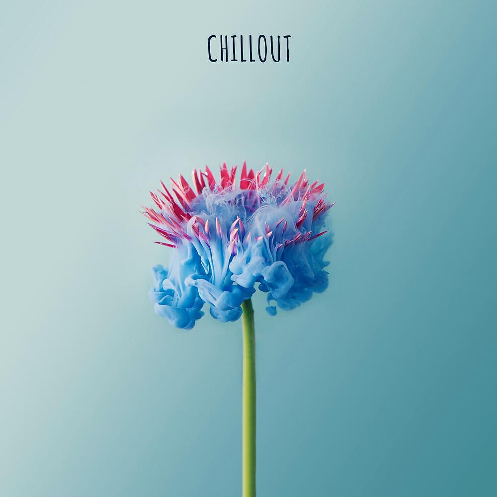 Постер альбома Chillout