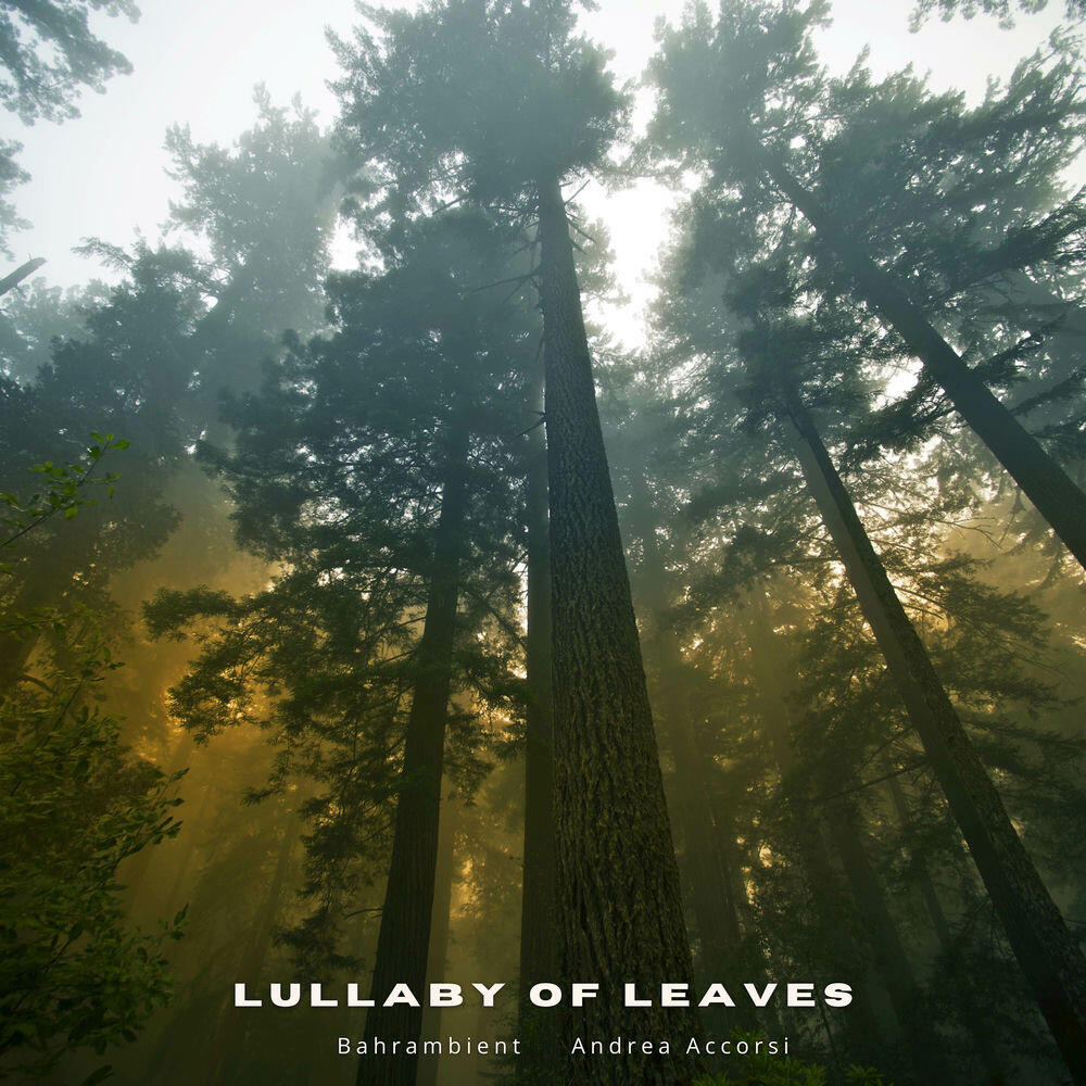Релиз Lullaby of Leaves