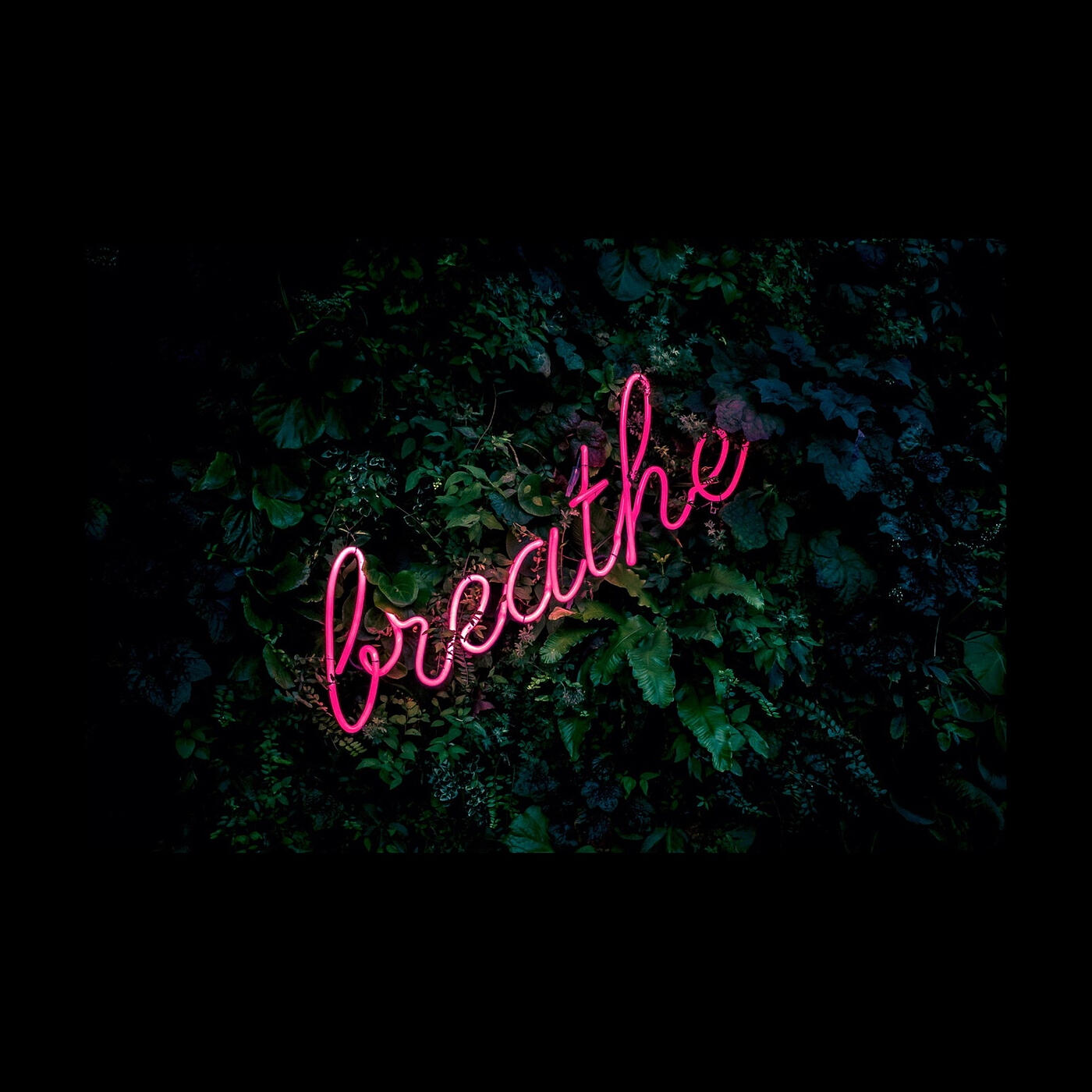 Релиз Breathe.