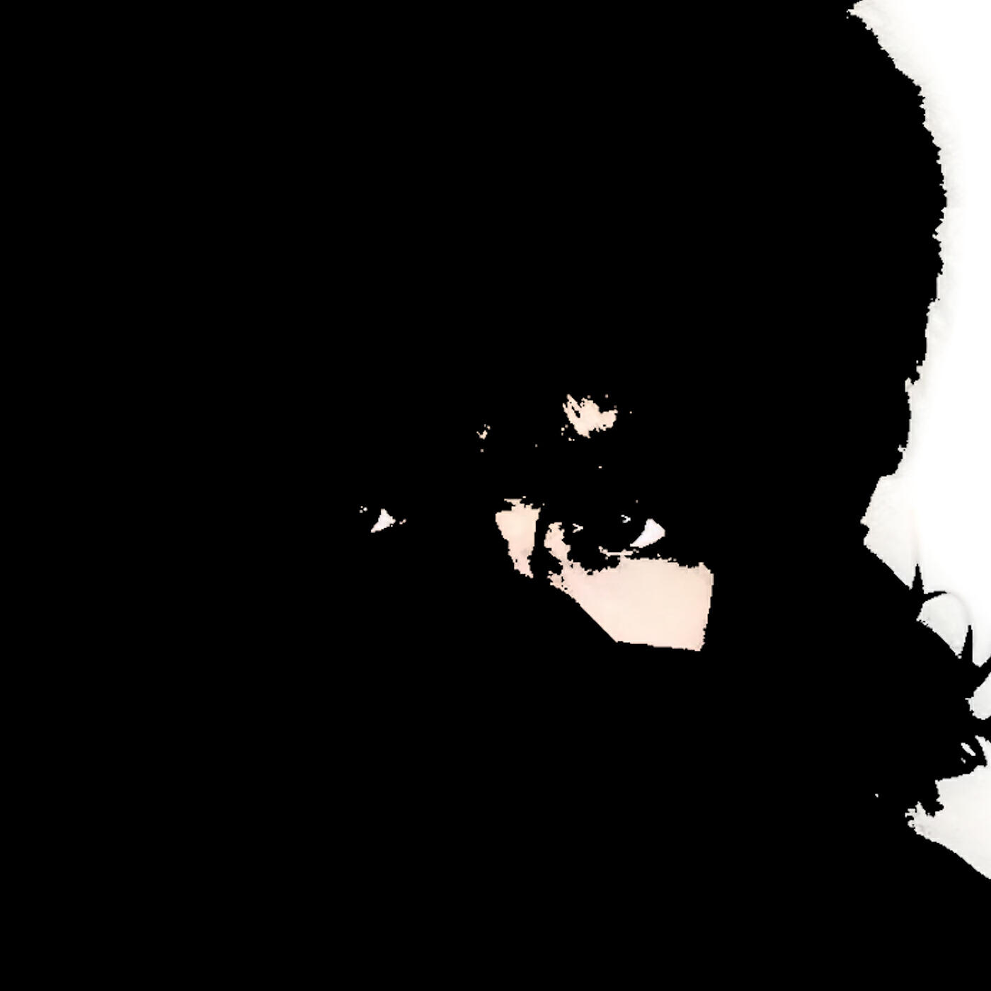 Релиз Someone Said