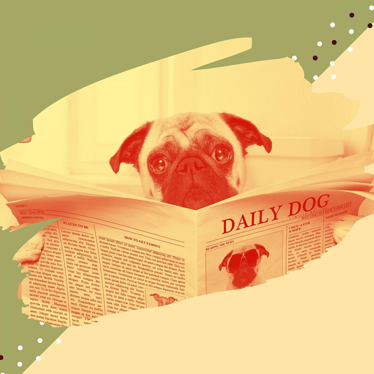 Релиз Music for Calming Your Dog - Acoustic Guitar