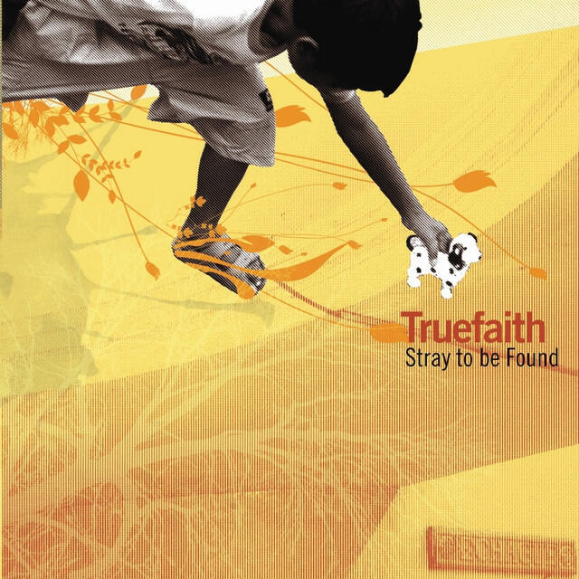 Релиз Stray to Be Found