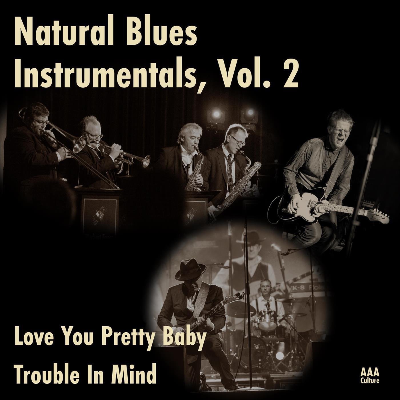 Релиз Natural Blues Instrumentals, Vol. 2