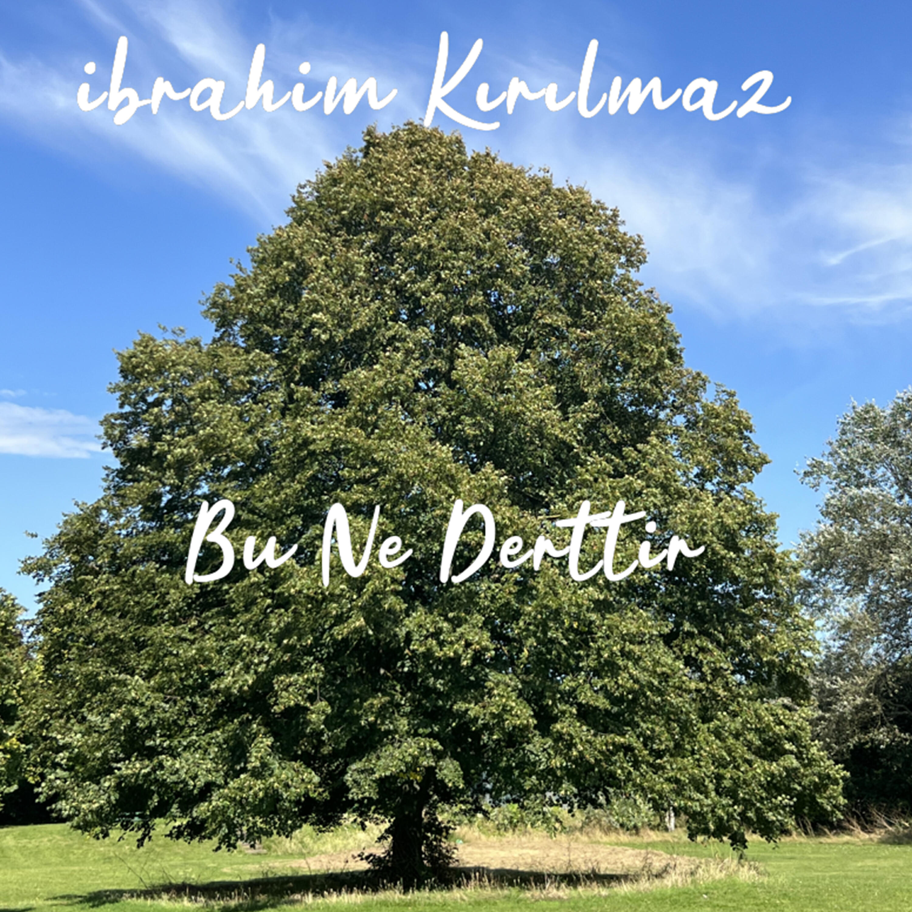 Релиз Bu Ne Derttir