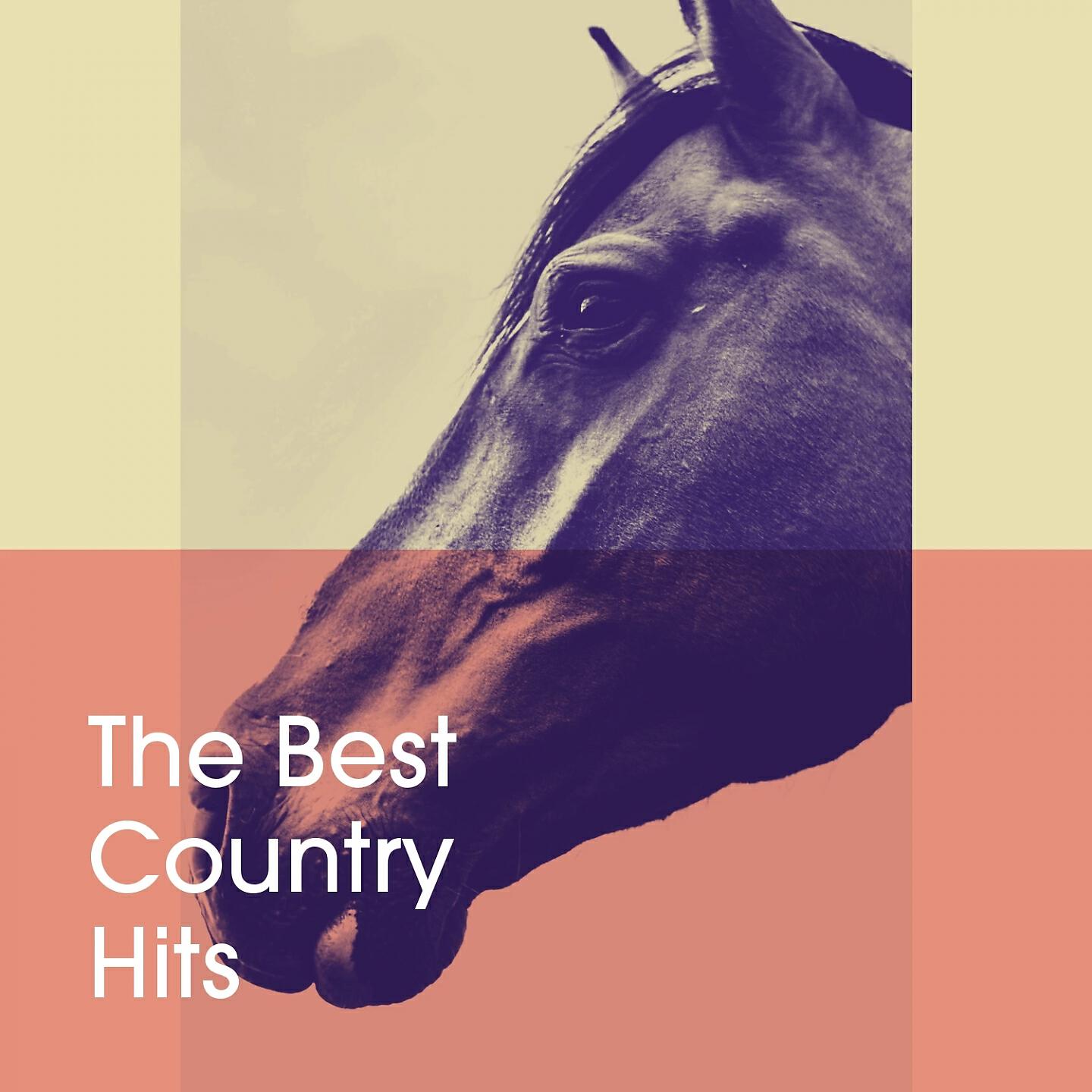 Релиз The Best Country Hits