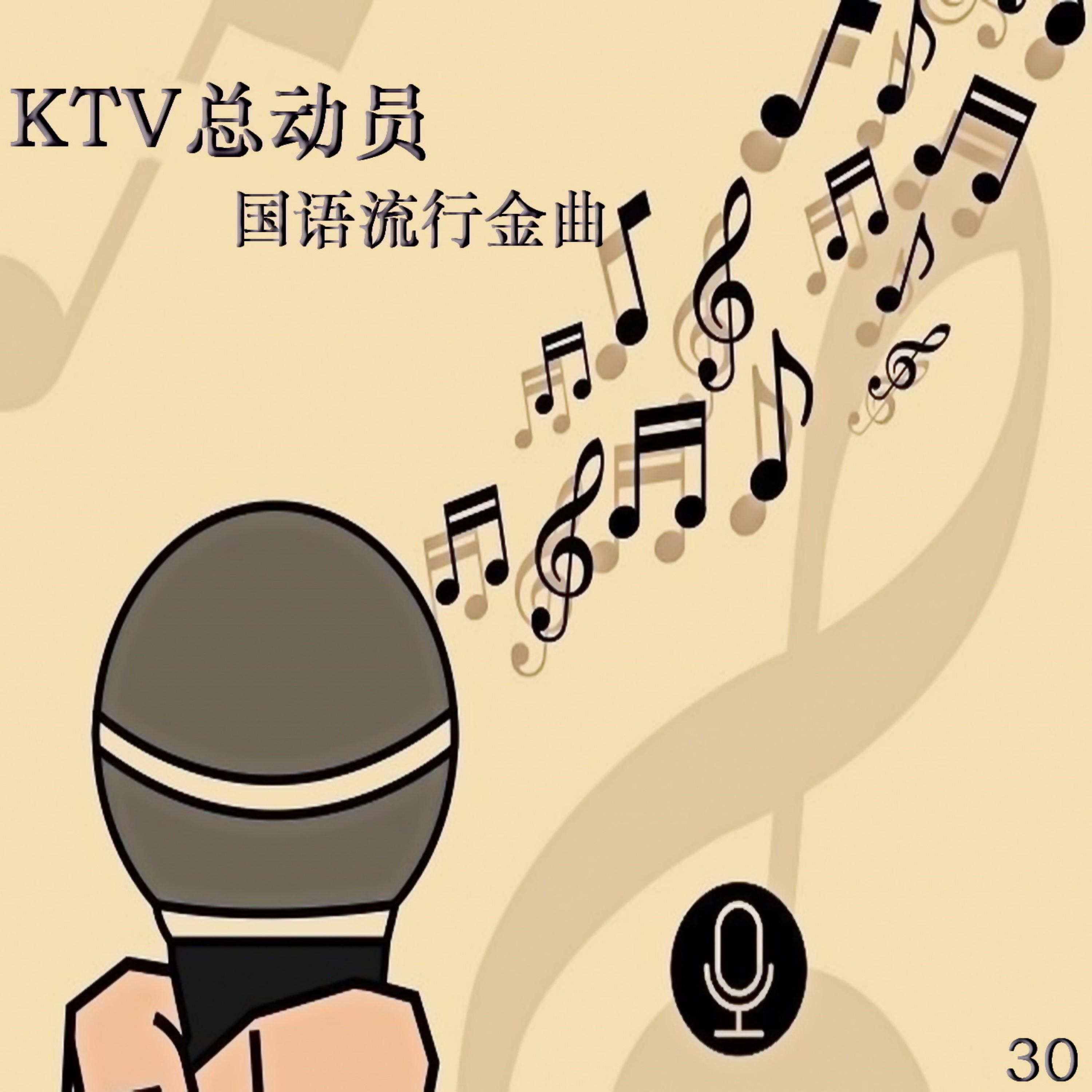 Релиз KTV总动员 国语流行金曲 30