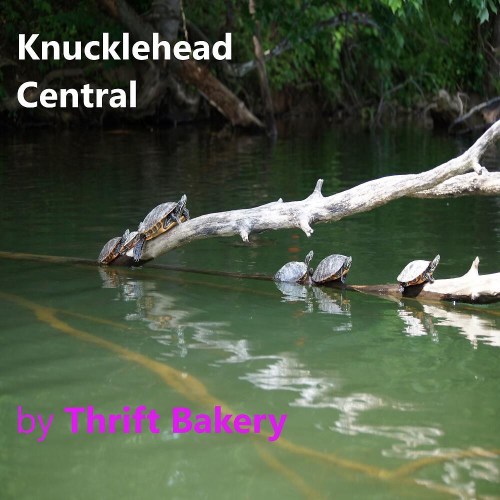 Релиз Knucklehead Central