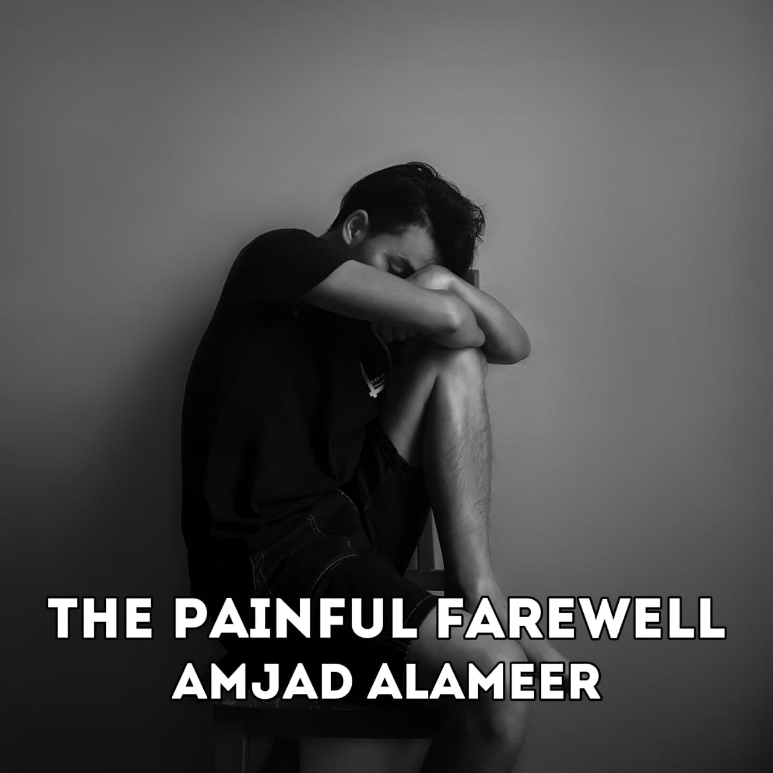Релиз The Painful Farewell