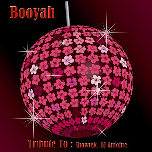 Релиз Boohya: Tribute To Showtek, DJ Antoine