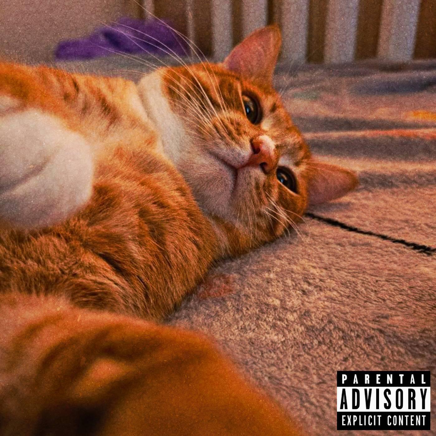 Релиз Meow
