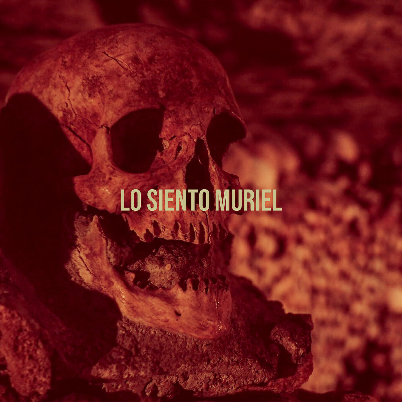 Lo Siento
