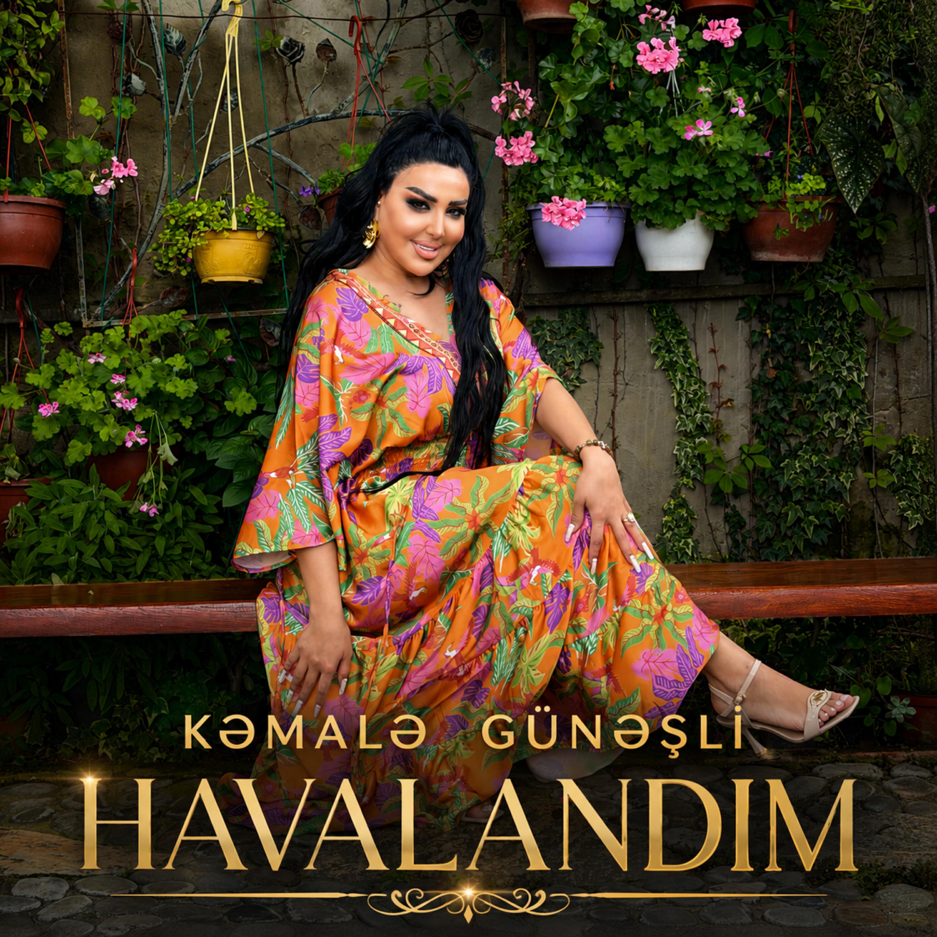 Релиз Havalandim
