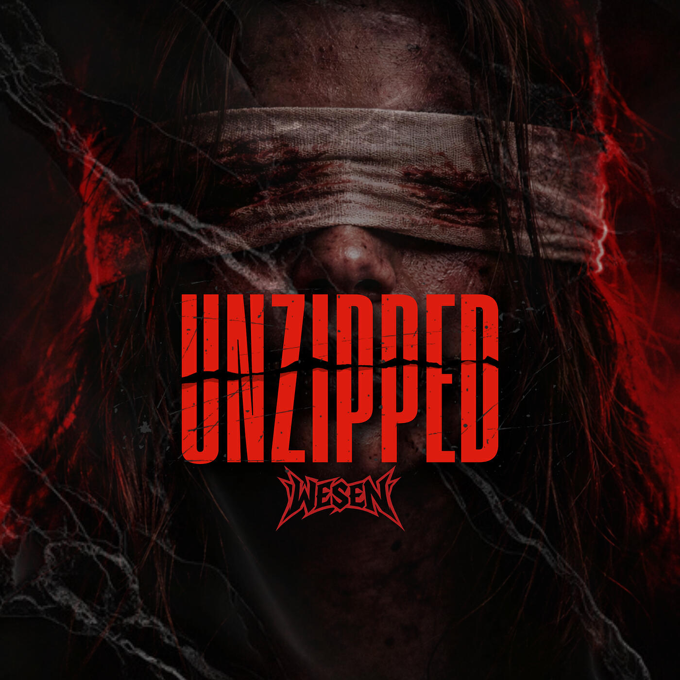 Релиз Unzipped