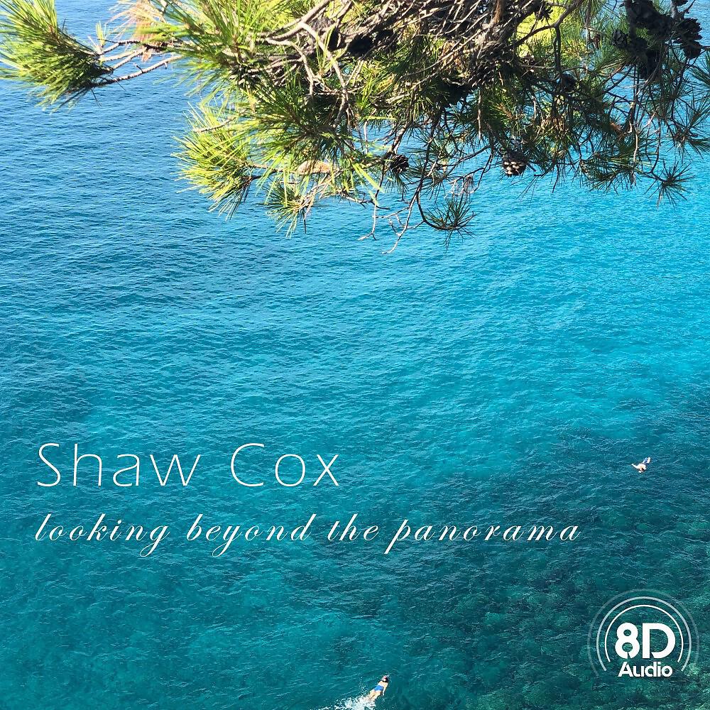 Релиз Looking Beyond the Panorama (8D Audio)