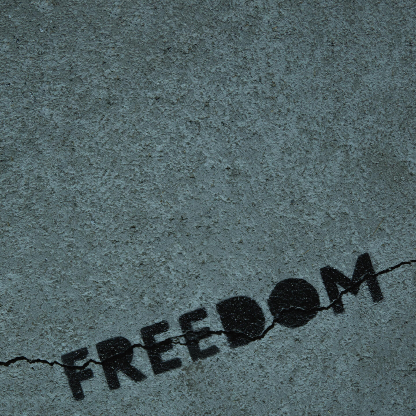 Постер альбома Freedom
