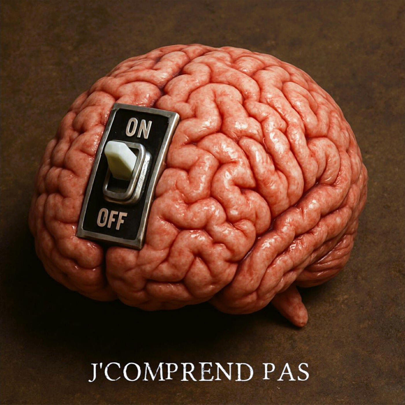 Релиз J'comprend pas