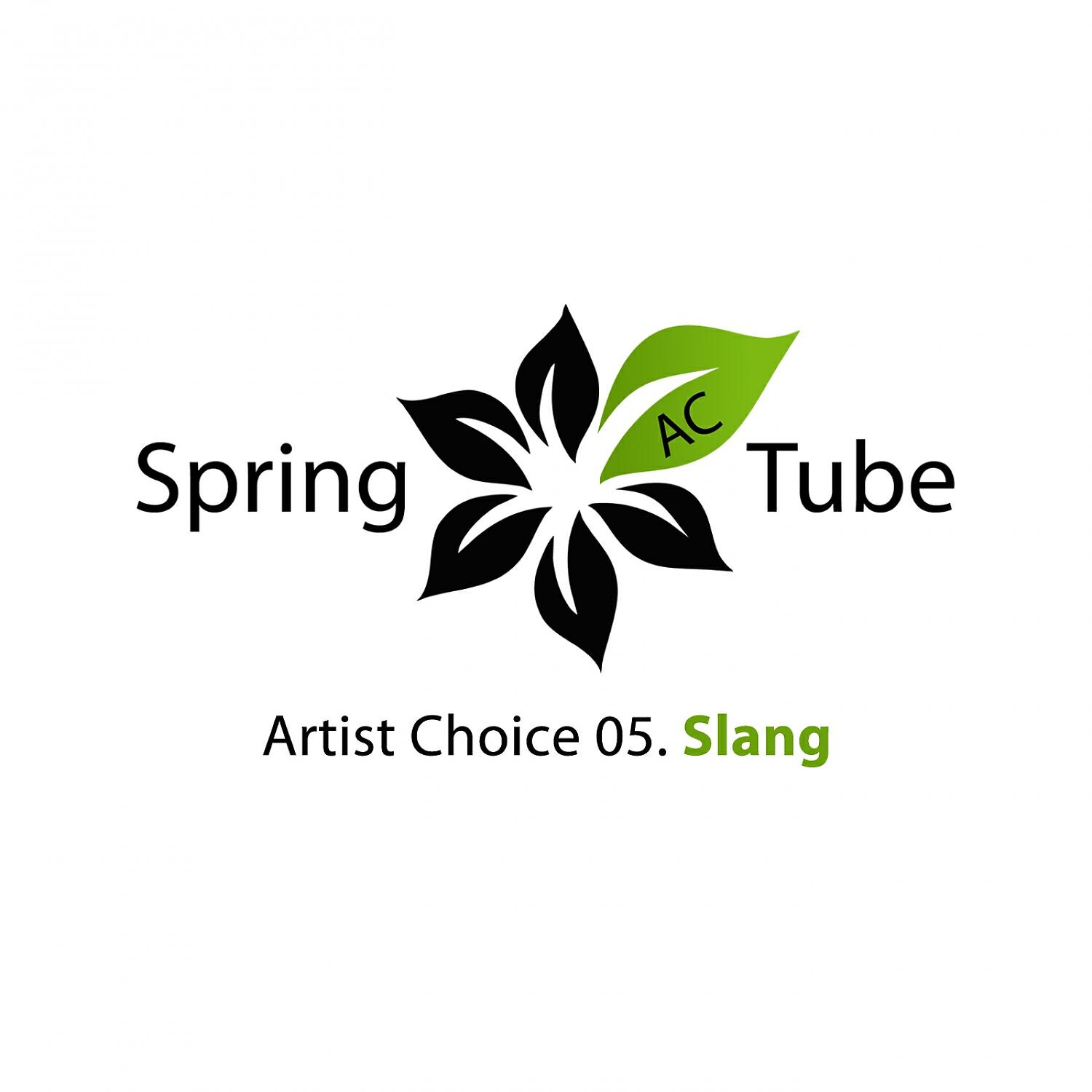 Релиз Artist Choice 05. Slang