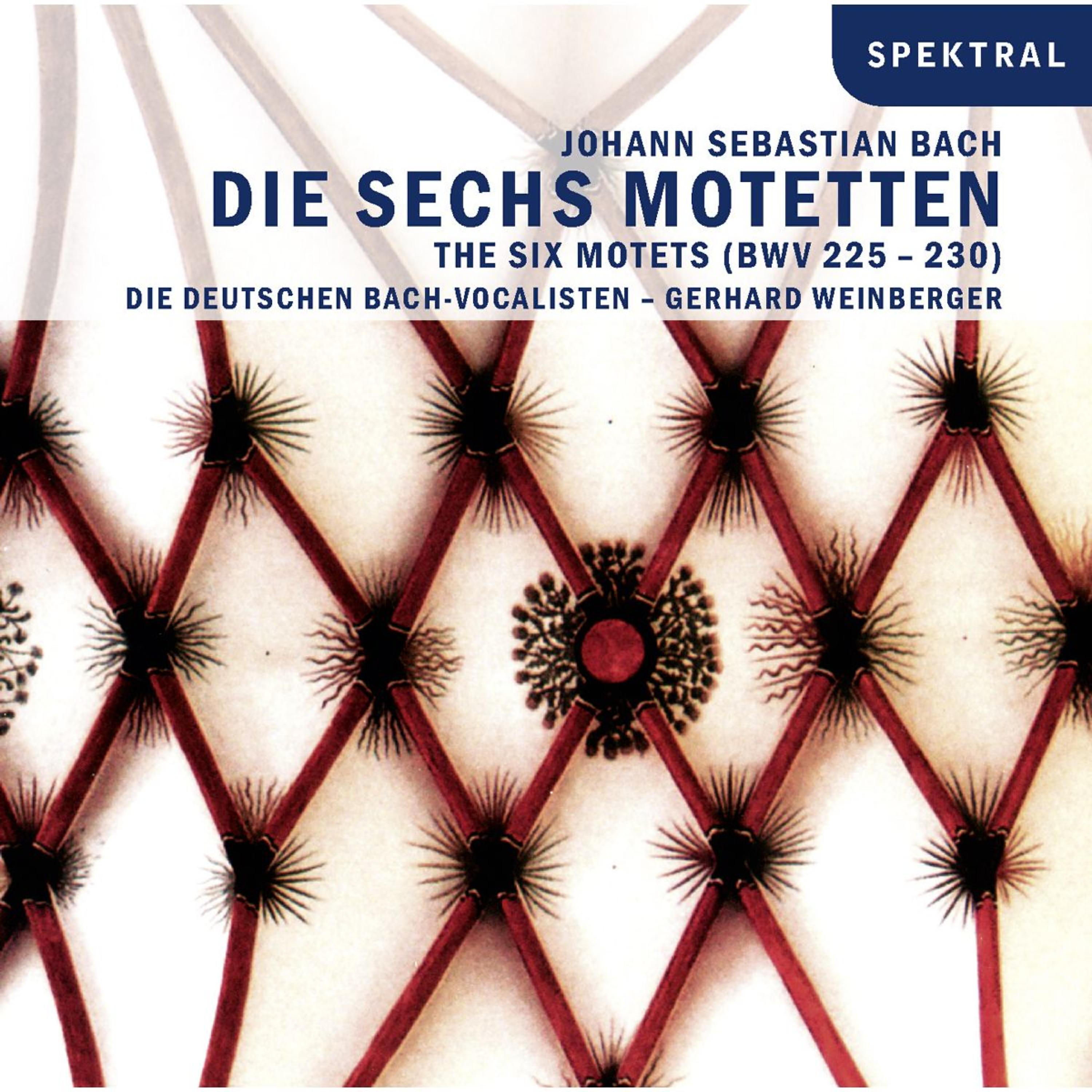 Релиз Johann Sebastian Bach - Die Sechs Motetten