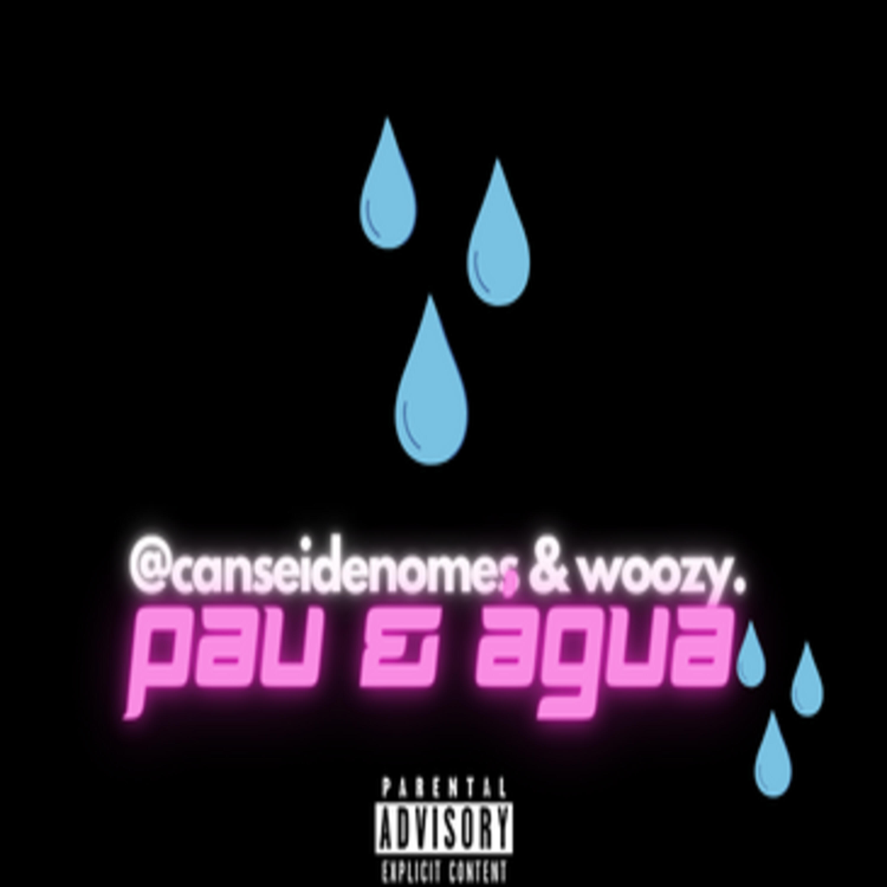Релиз Pau & Água