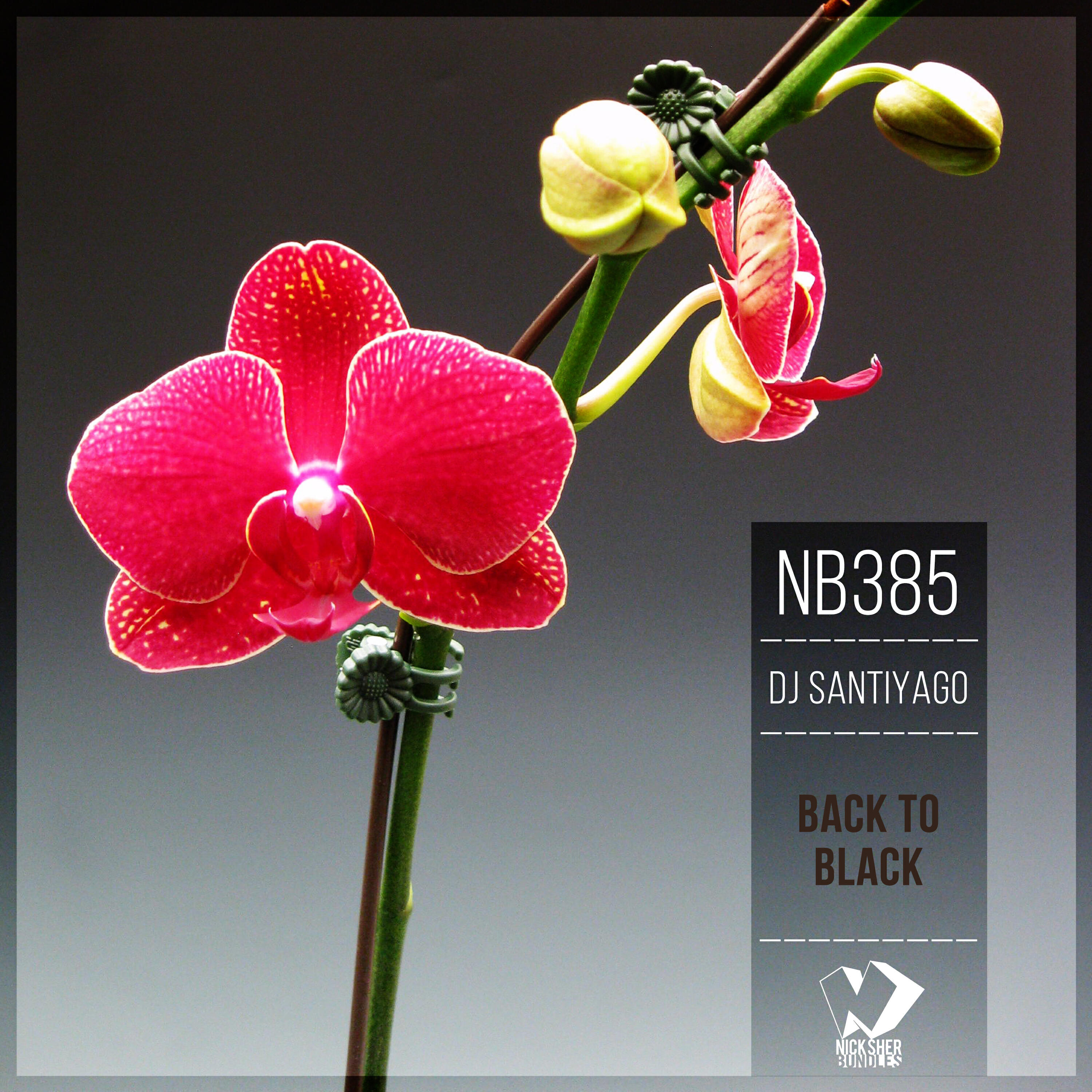 Релиз Back to Black