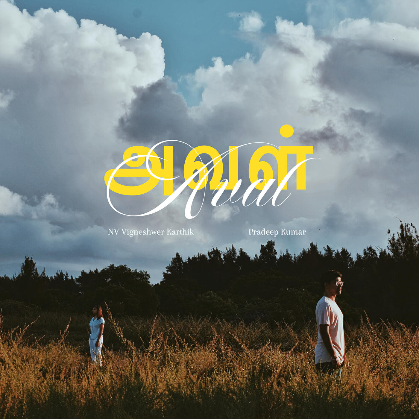 Релиз Aval