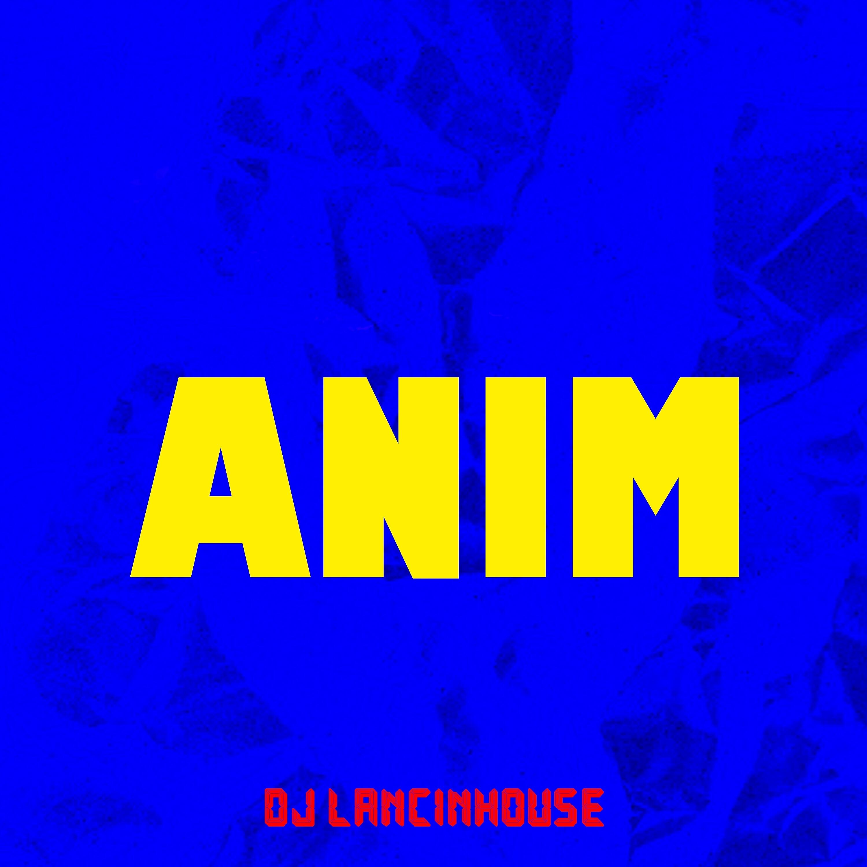 Постер альбома Anim