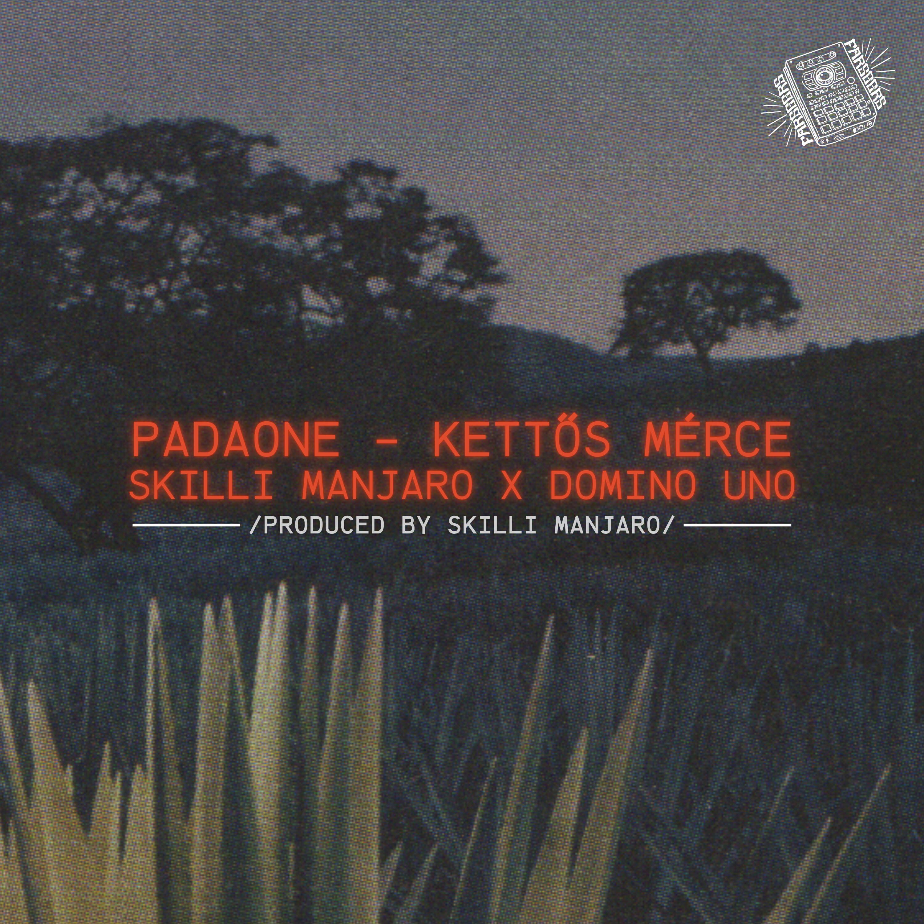 PadaOne