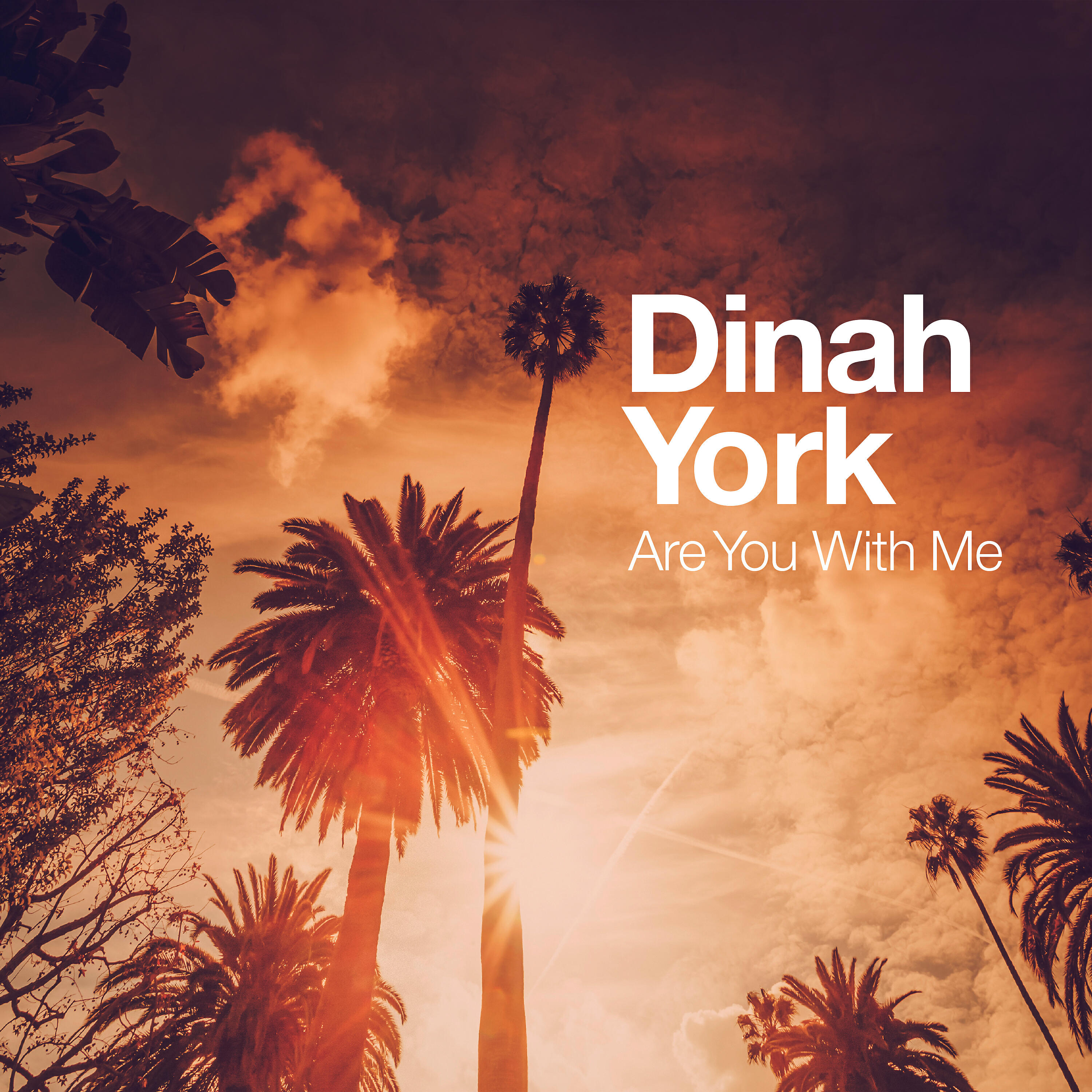 Релиз Are You with Me