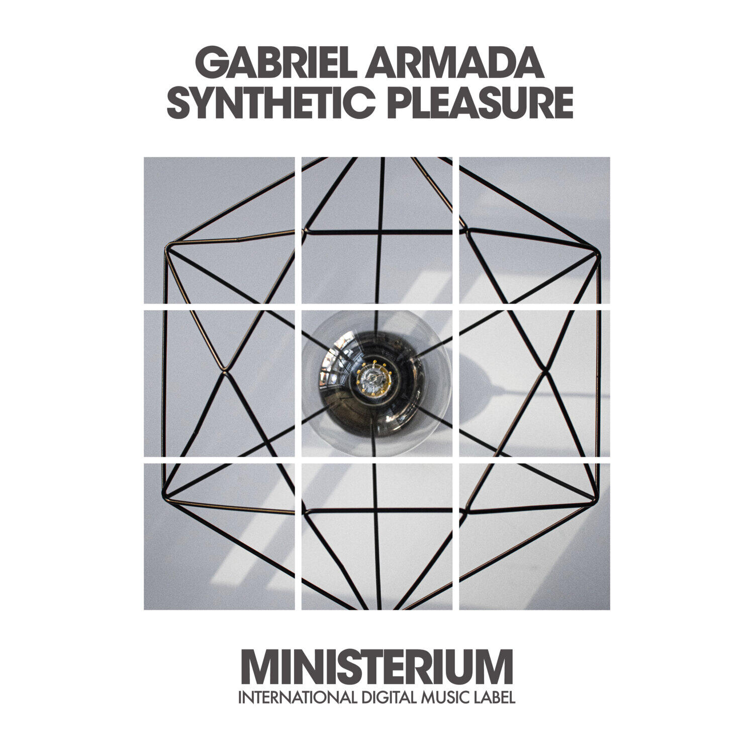 Релиз Synthetic Pleasure