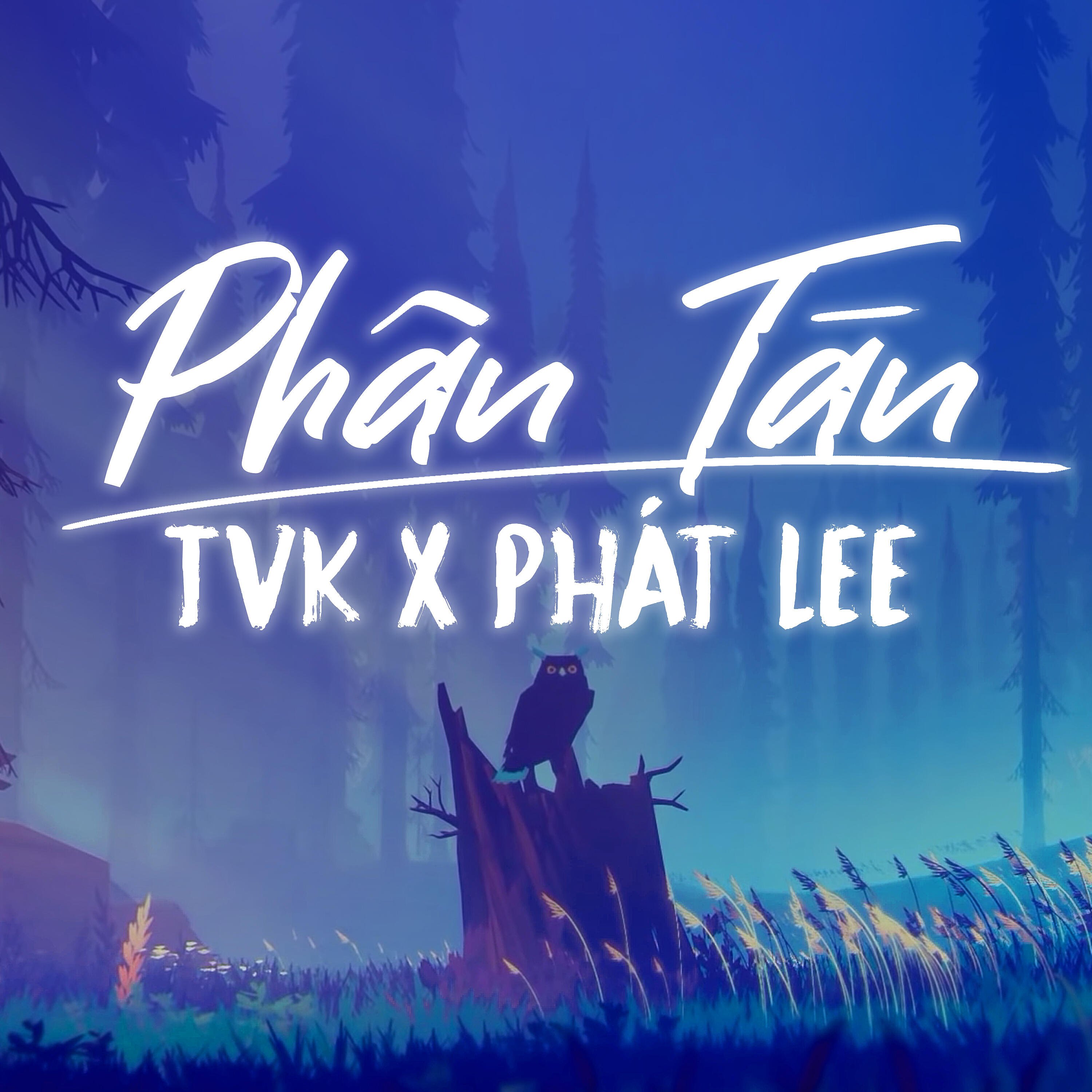 Релиз Phận Tàn (MEE REMIX)