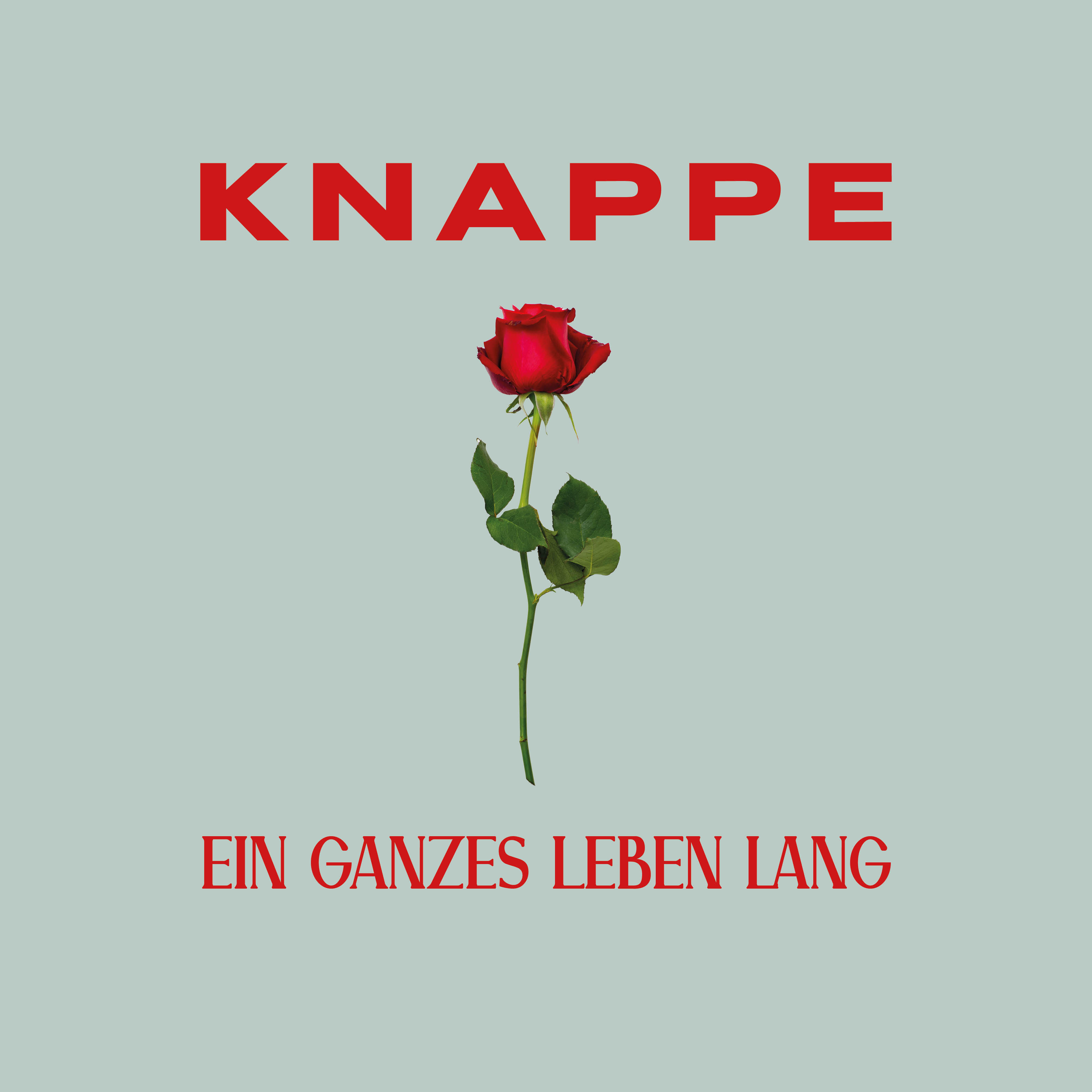 Релиз Ein ganzes Leben lang