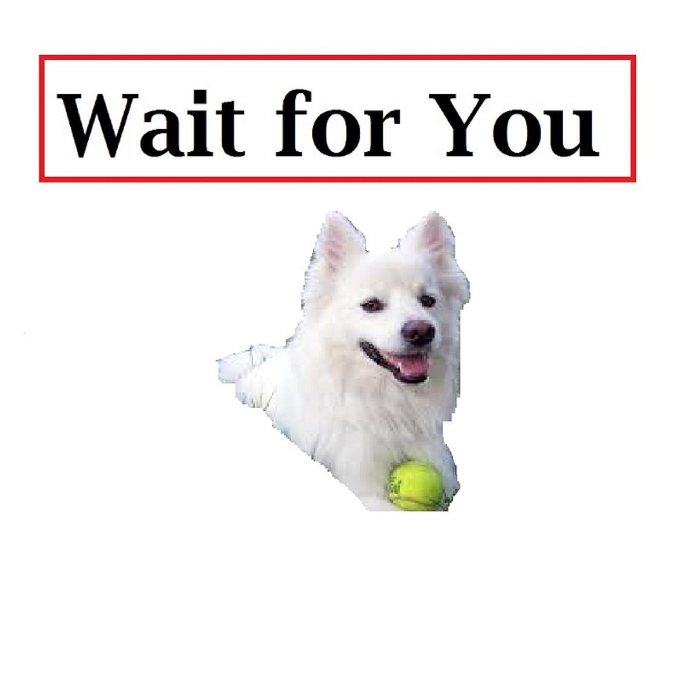 Релиз Wait for You