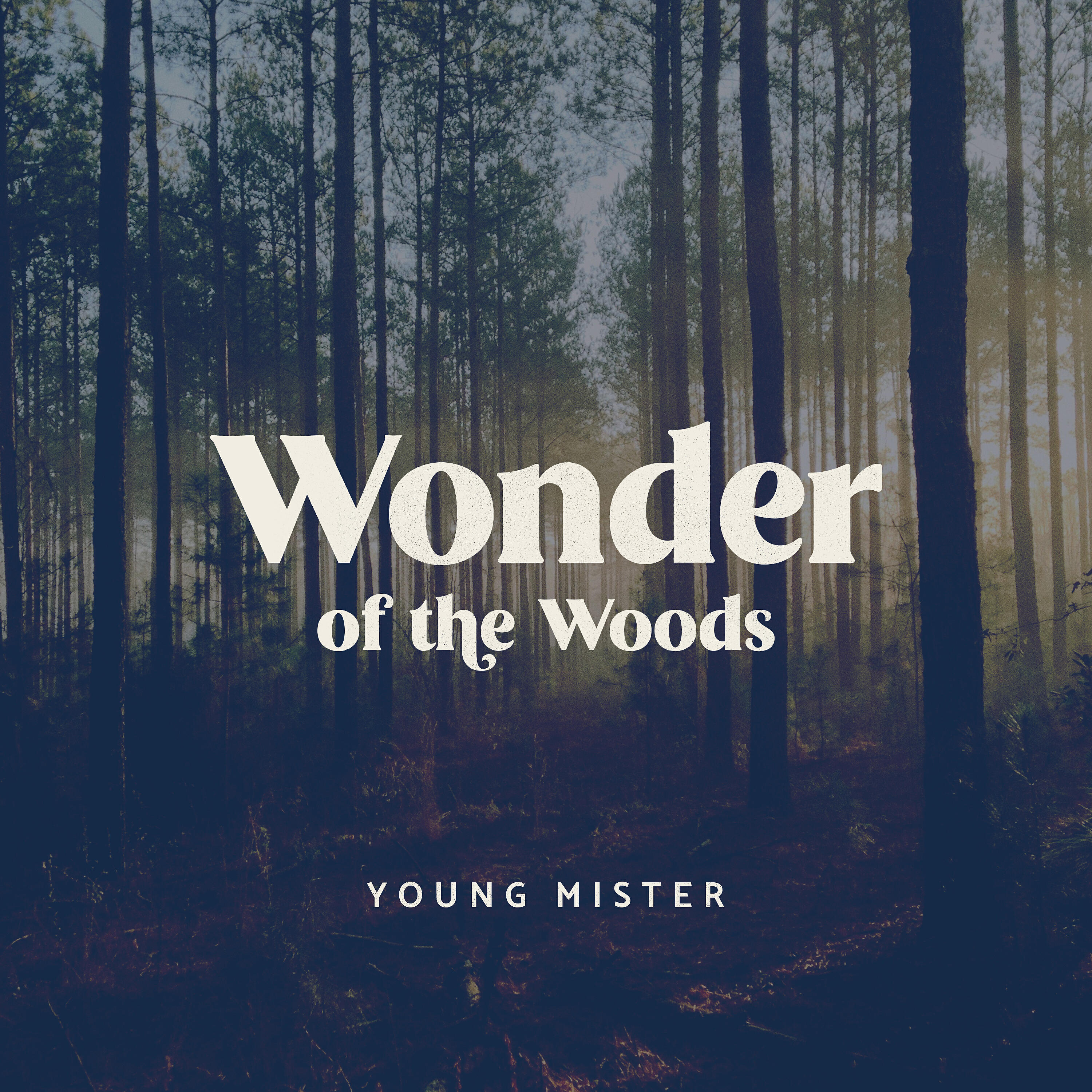 Релиз Wonder of the Woods