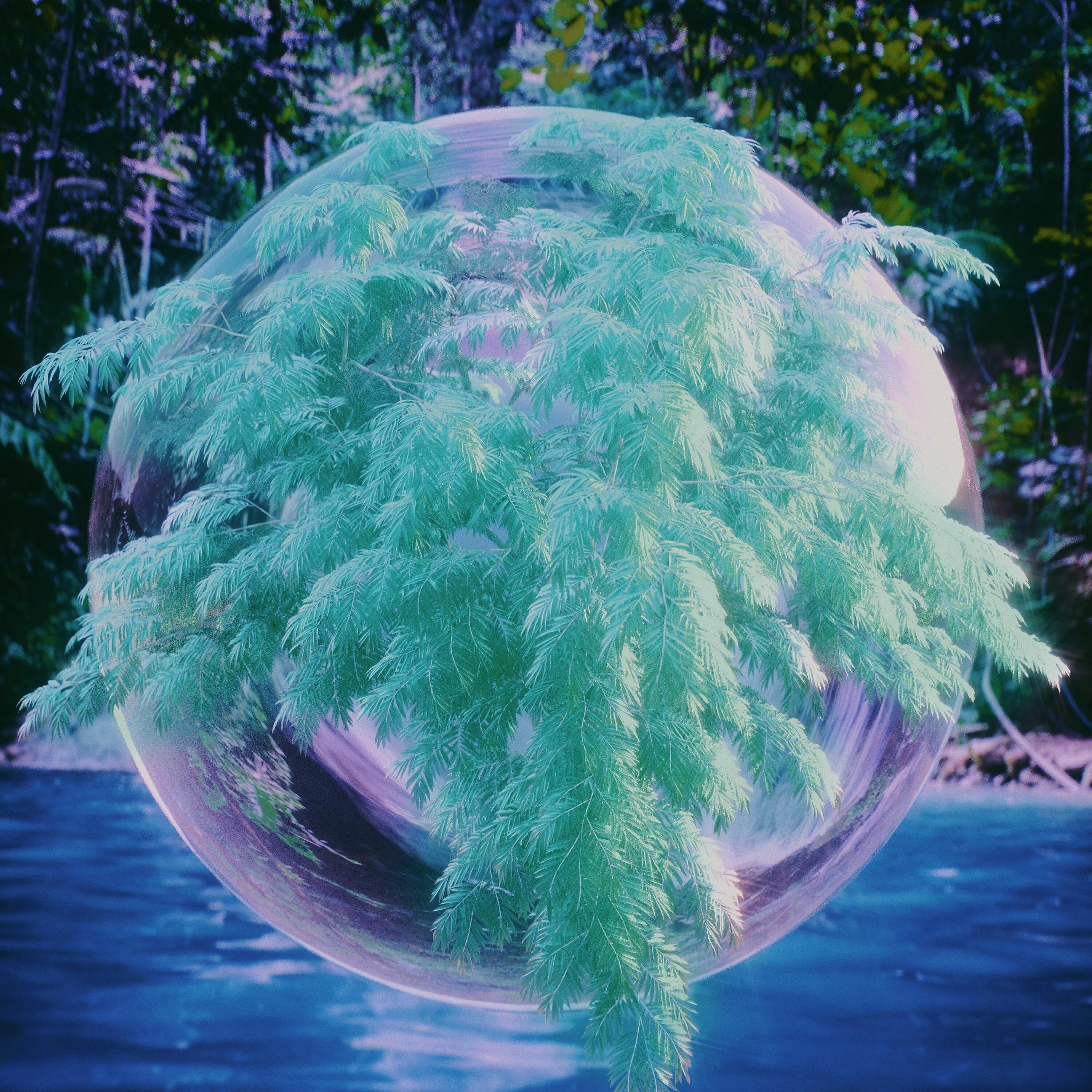 SWAVES