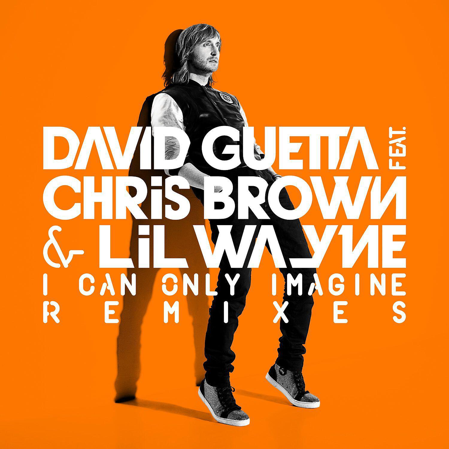 Релиз I Can Only Imagine (feat. Chris Brown and Lil Wayne)