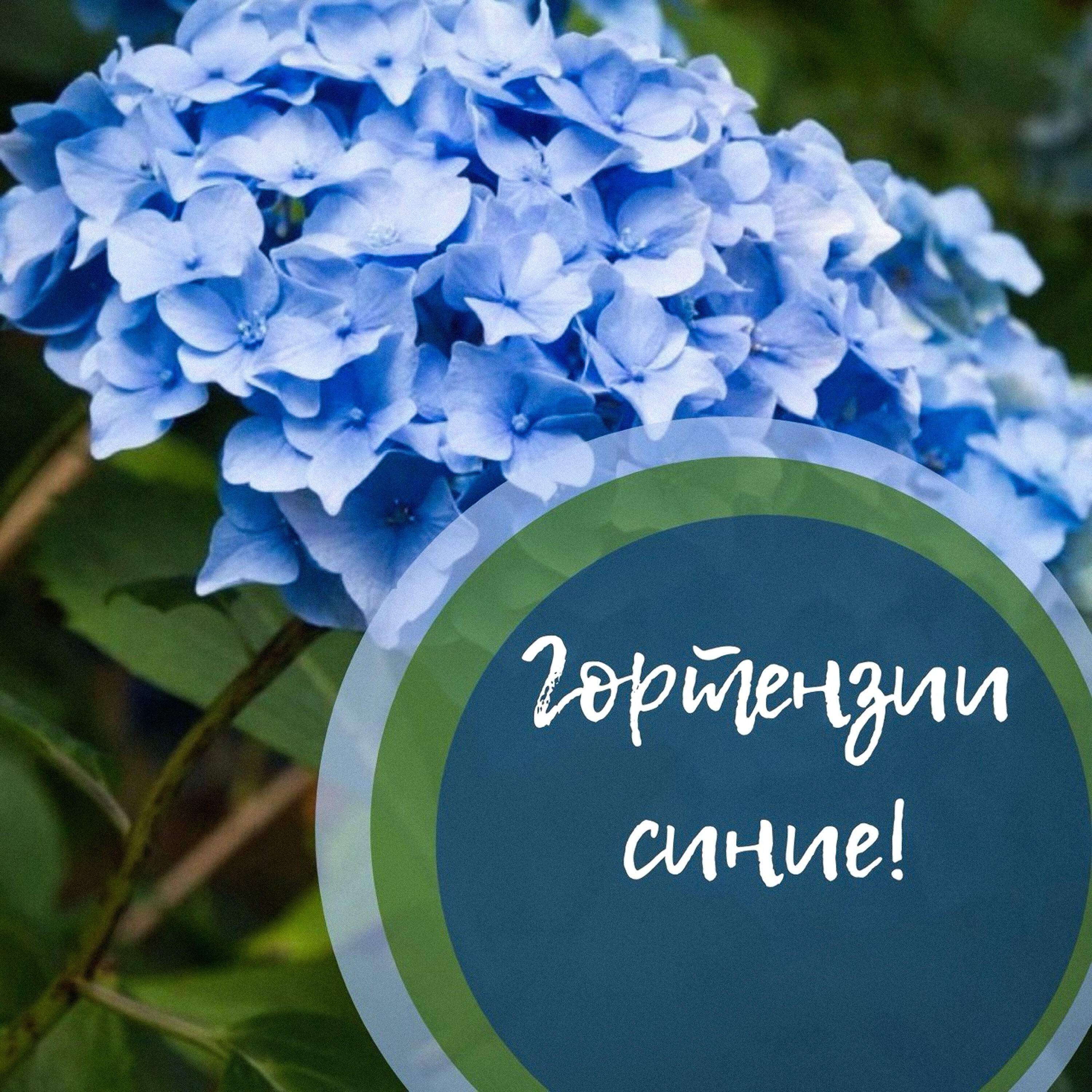 Кудоярова Ольга