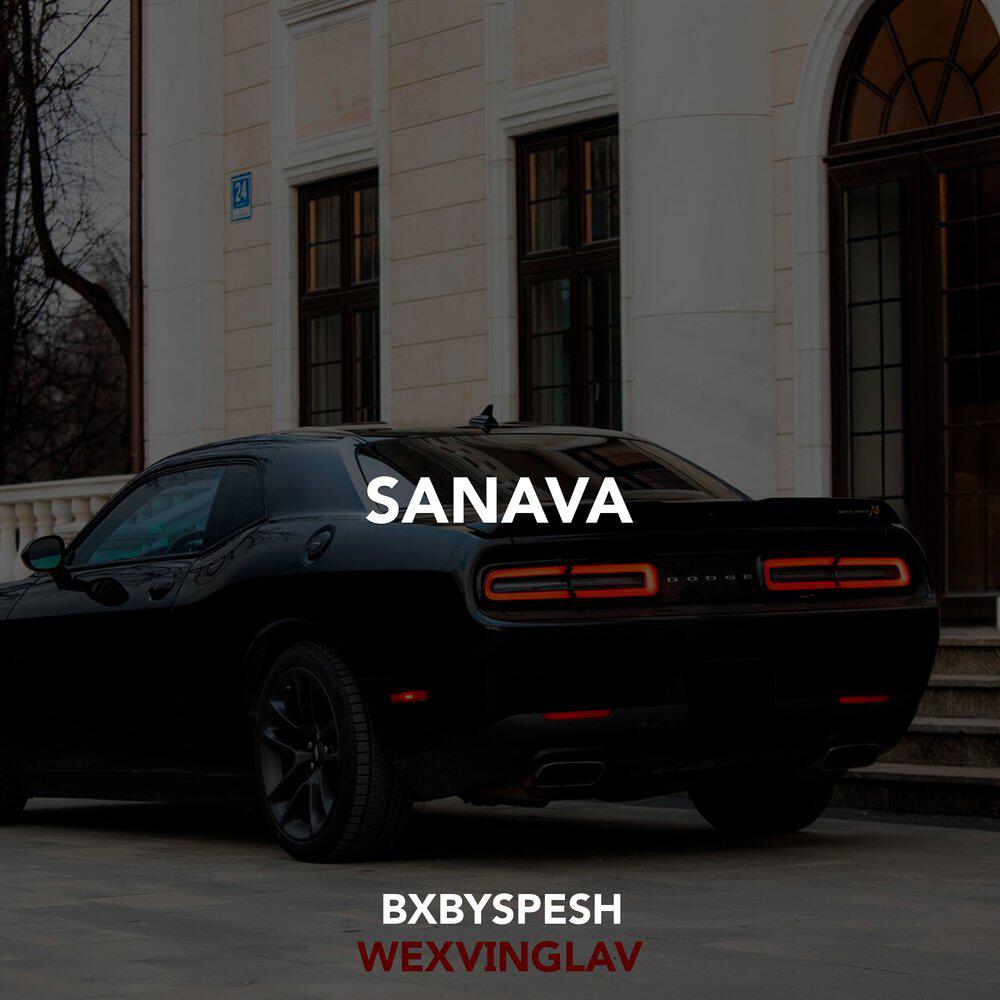 Релиз SANAVA