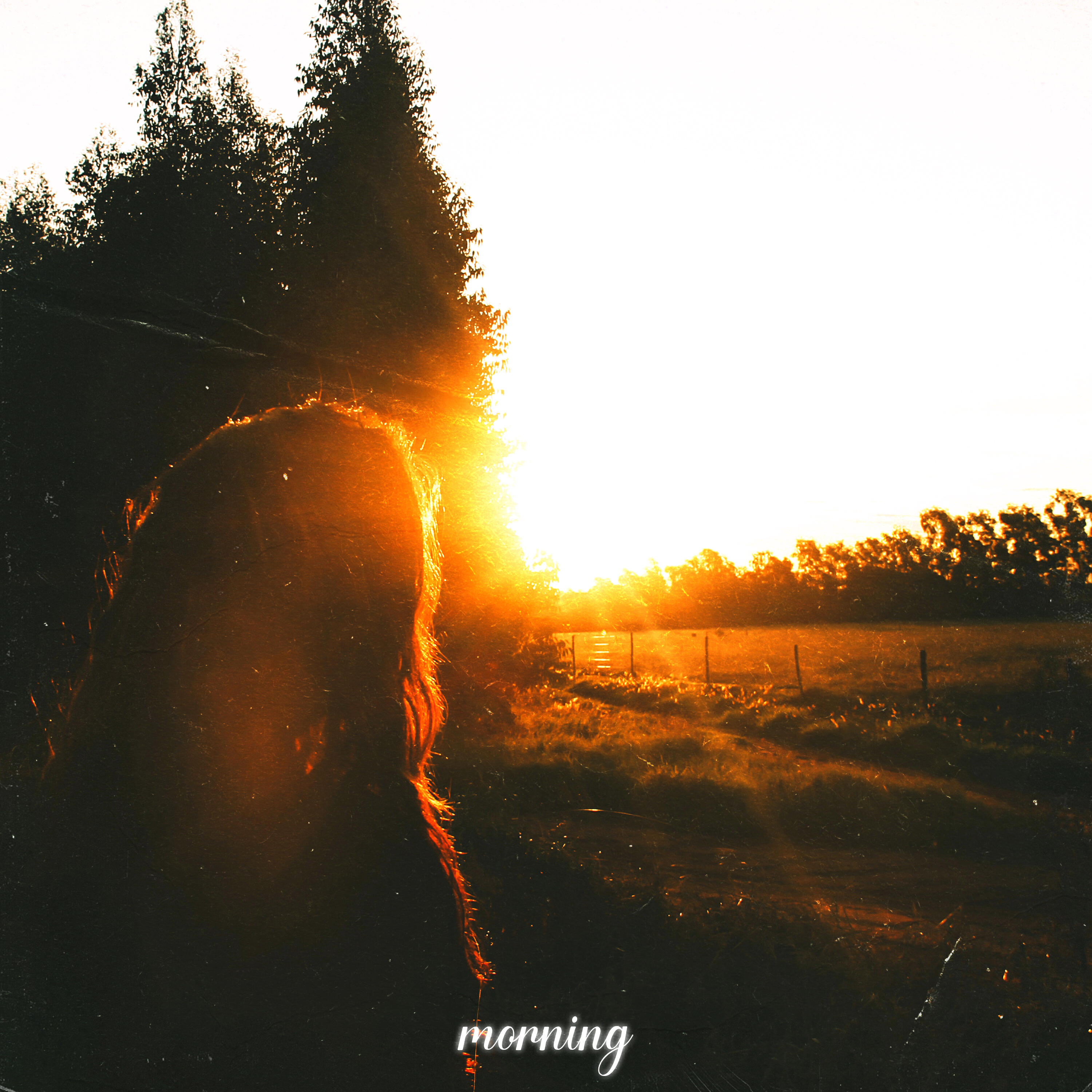 Релиз morning