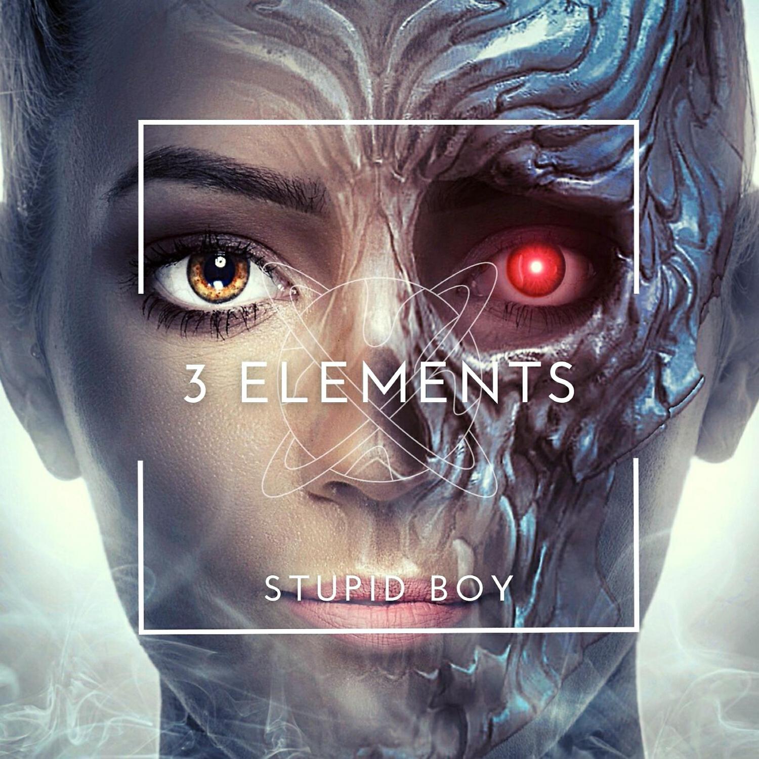 Релиз Stupid Boy