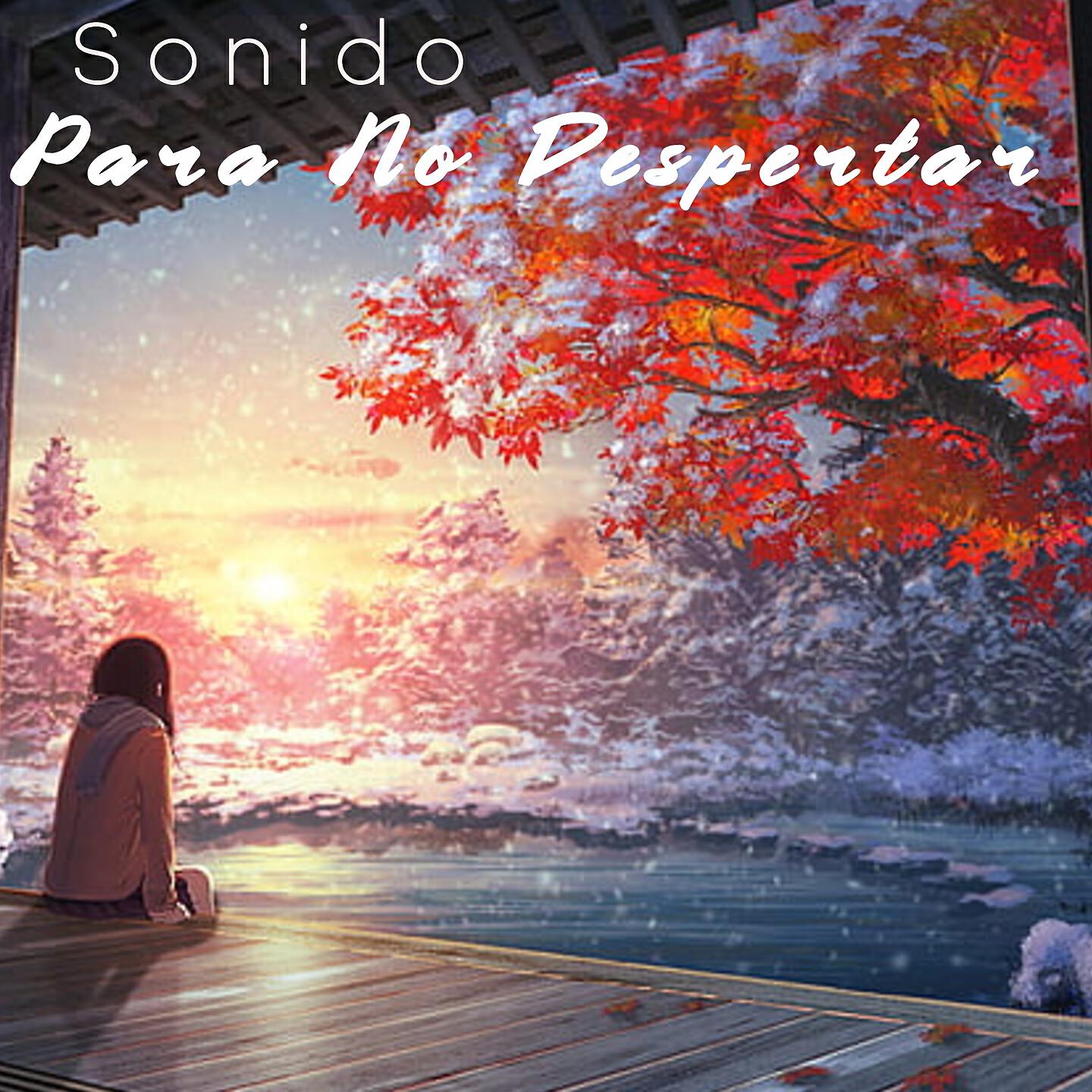 Релиз Sonido Para No Despertar