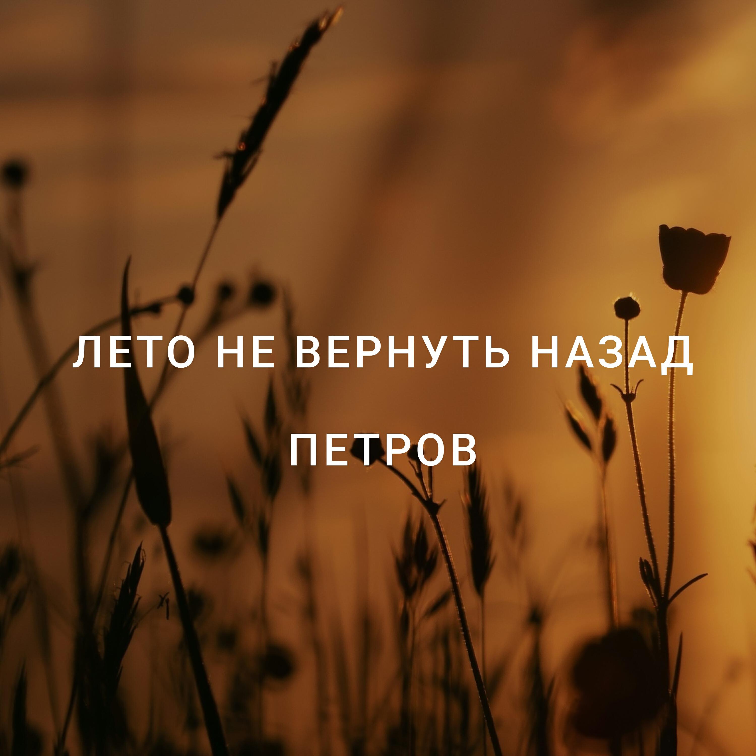 Постер альбома Лето не вернуть назад