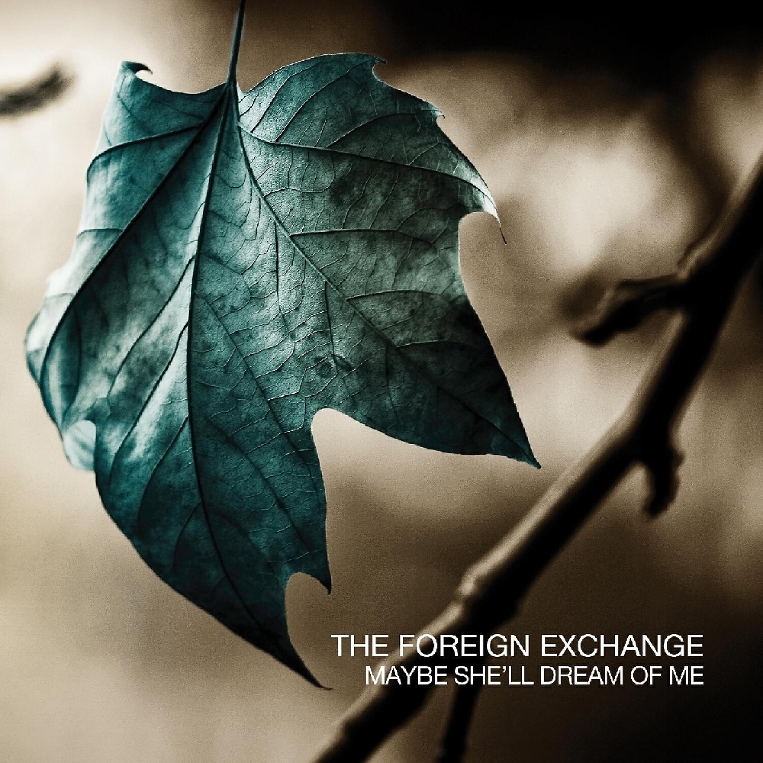 Релиз Maybe She'll Dream Of Me