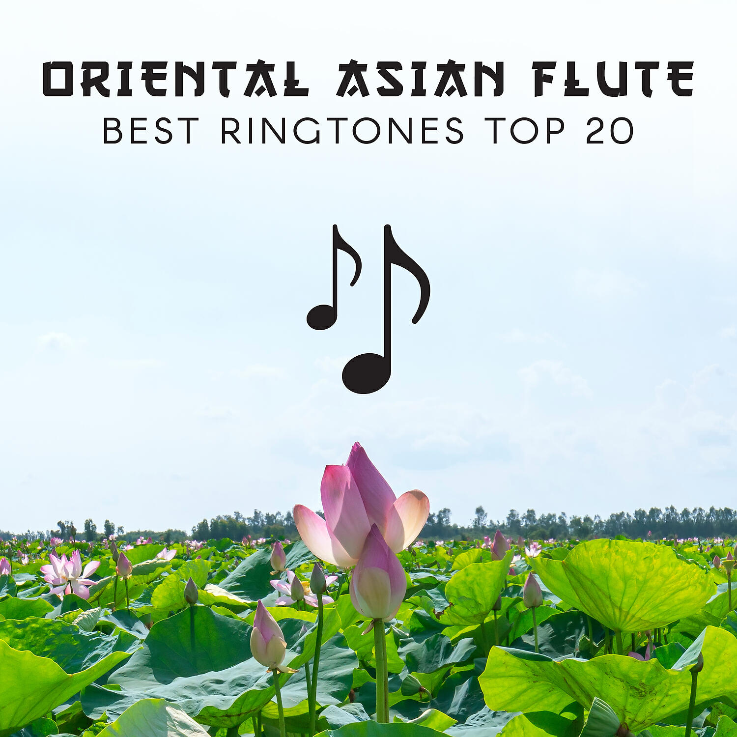 Релиз Oriental Asian Flute: Best Ringtones Top 20