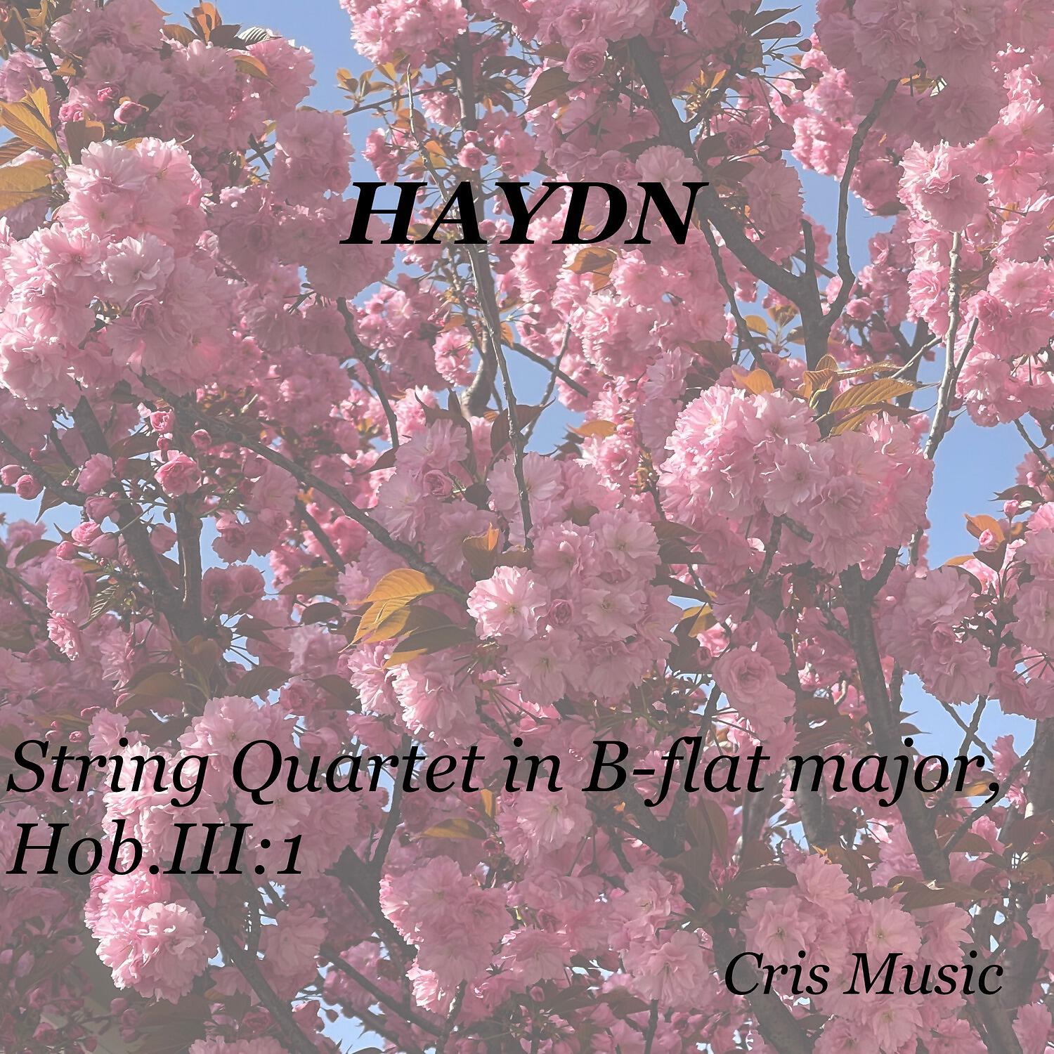 Релиз Haydn: String Quartet in B-flat major, Hob.III:1